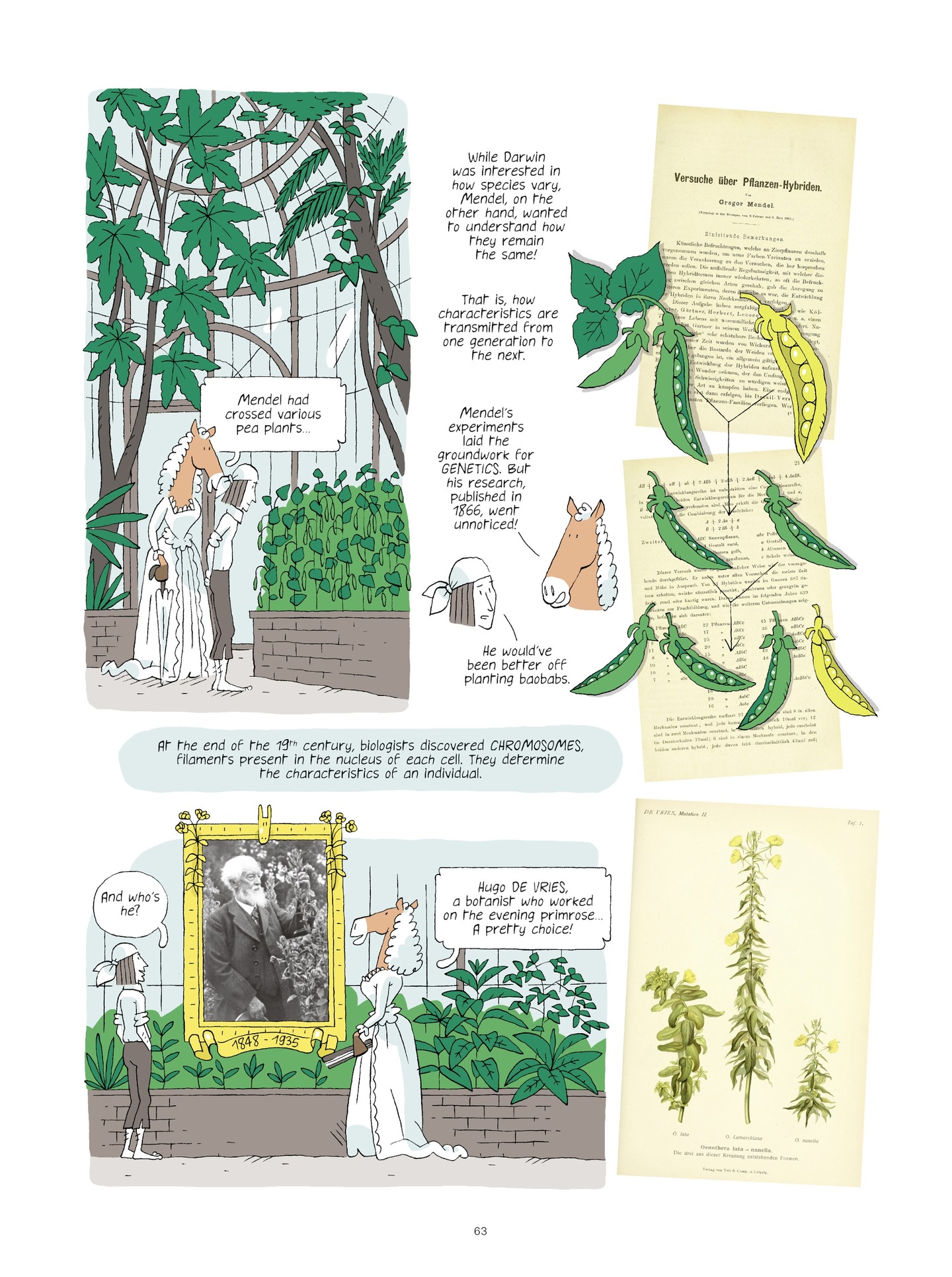 Read online Evolution, Darwin, God, and the Horse-People comic -  Issue # TPB - 62