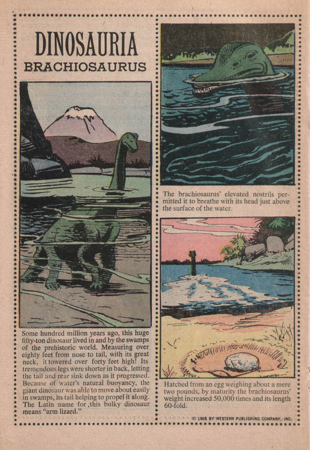 Read online Moby Duck comic -  Issue #2 - 20