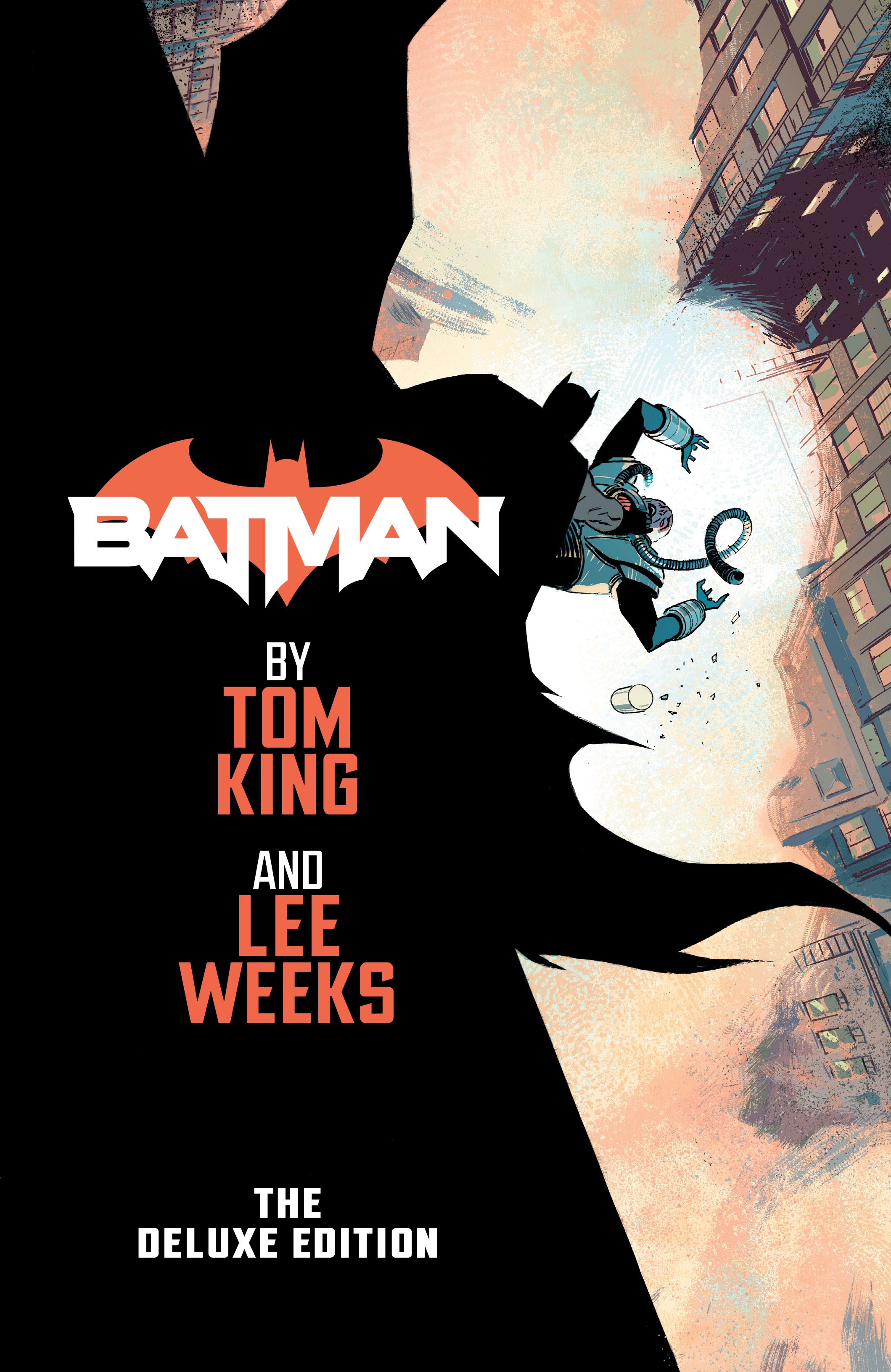 Read online Batman by Tom King & Lee Weeks: The Deluxe Edition comic -  Issue # TPB (Part 1) - 4