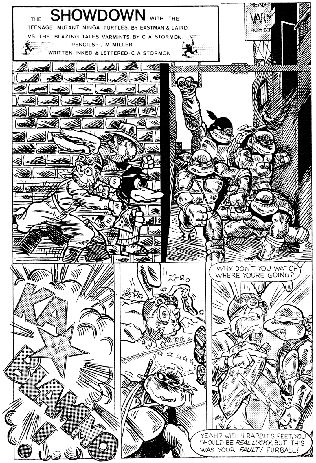 Turtle Soup (1987) issue Full - Page 27