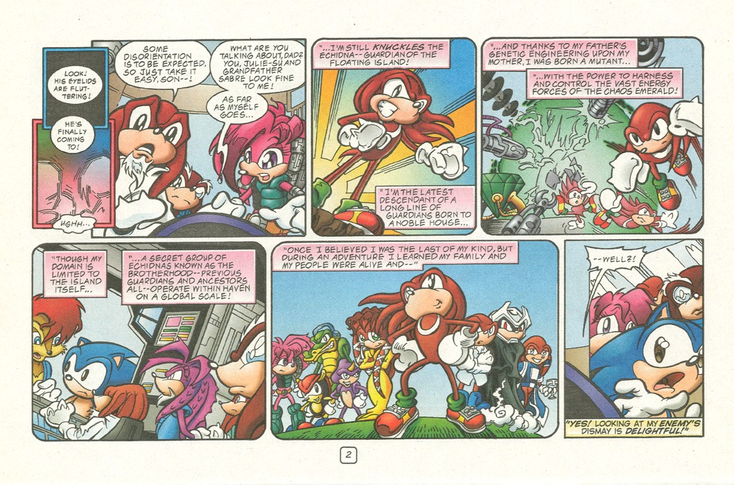 Read online Sonic Super Special comic -  Issue #12 - Sonic and Knuckles visa versa - 5