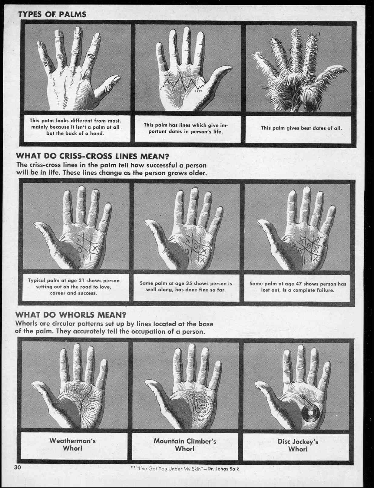 Read online MAD comic -  Issue #35 - 32