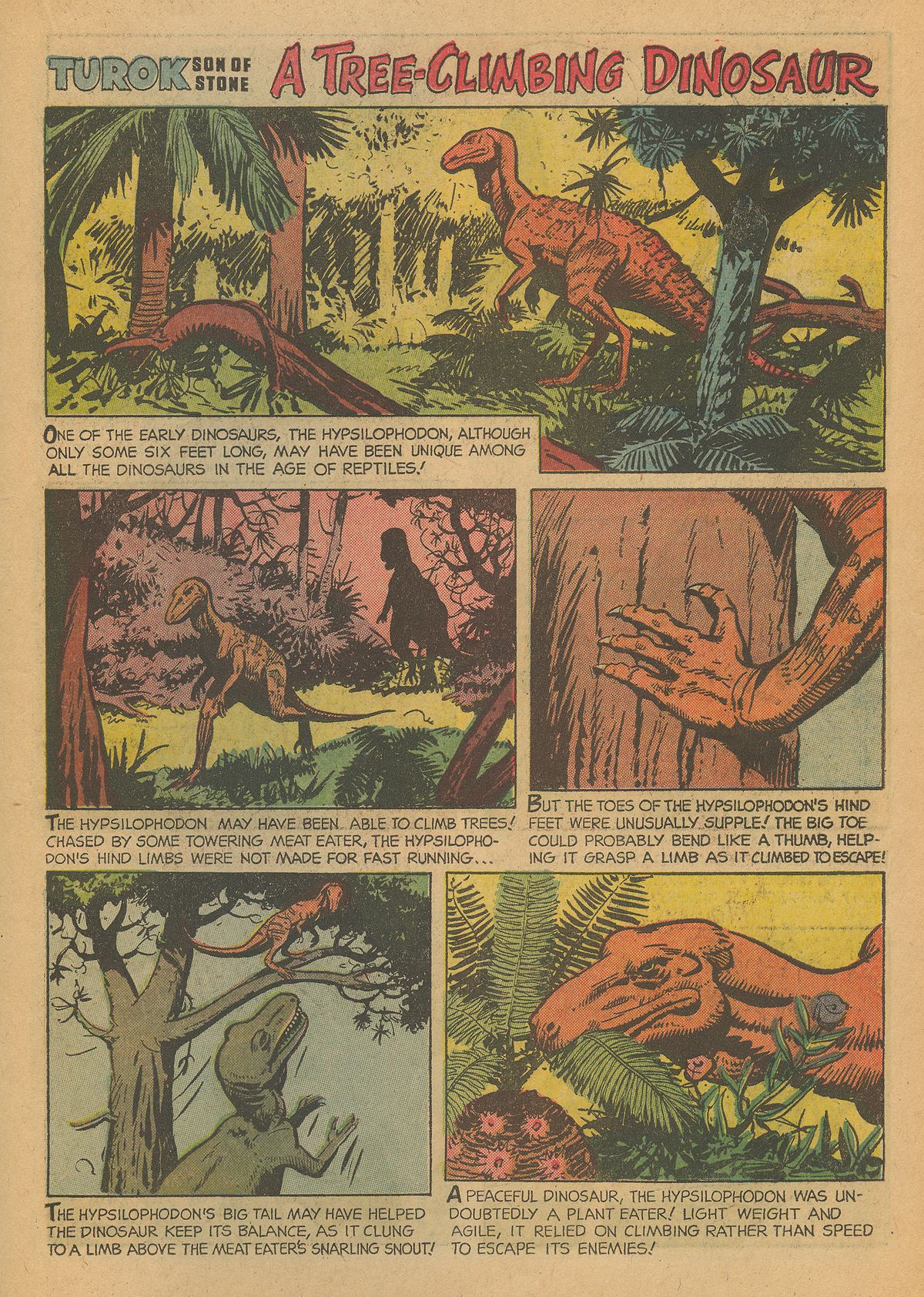 Read online Turok, Son of Stone comic -  Issue #43 - 19