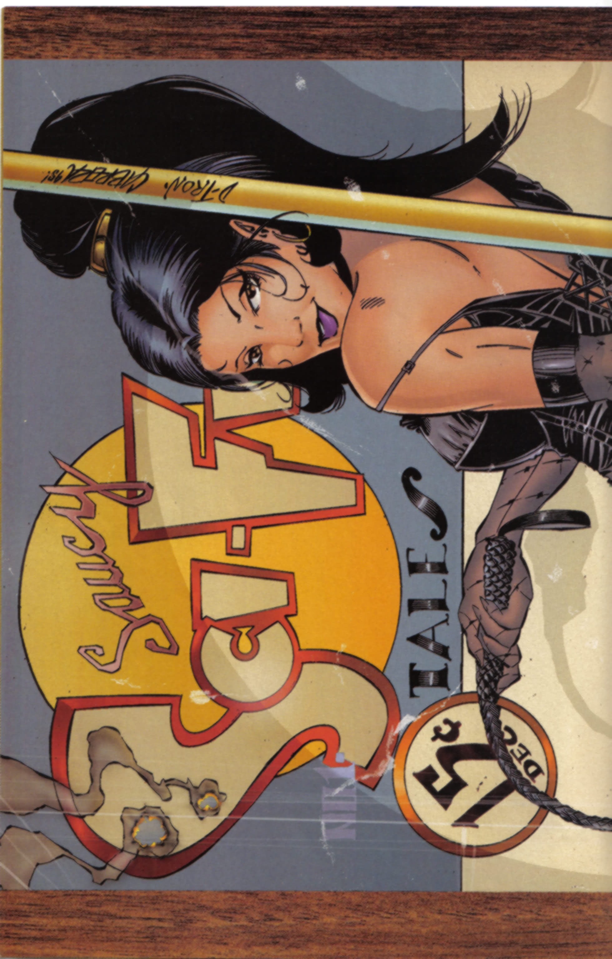 Read online Top Cow Secrets-Special Winter Lingerie Edition comic -  Issue # Full - 16
