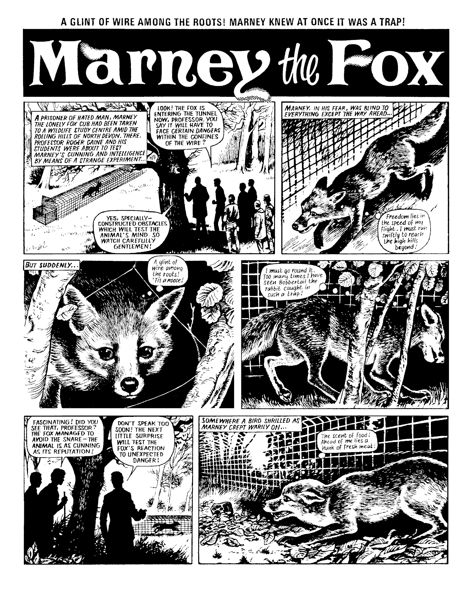 Read online Marney the Fox comic -  Issue # TPB (Part 1) - 71