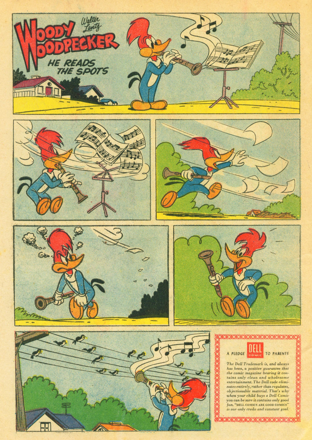 Read online Walter Lantz Woody Woodpecker (1952) comic -  Issue #59 - 34