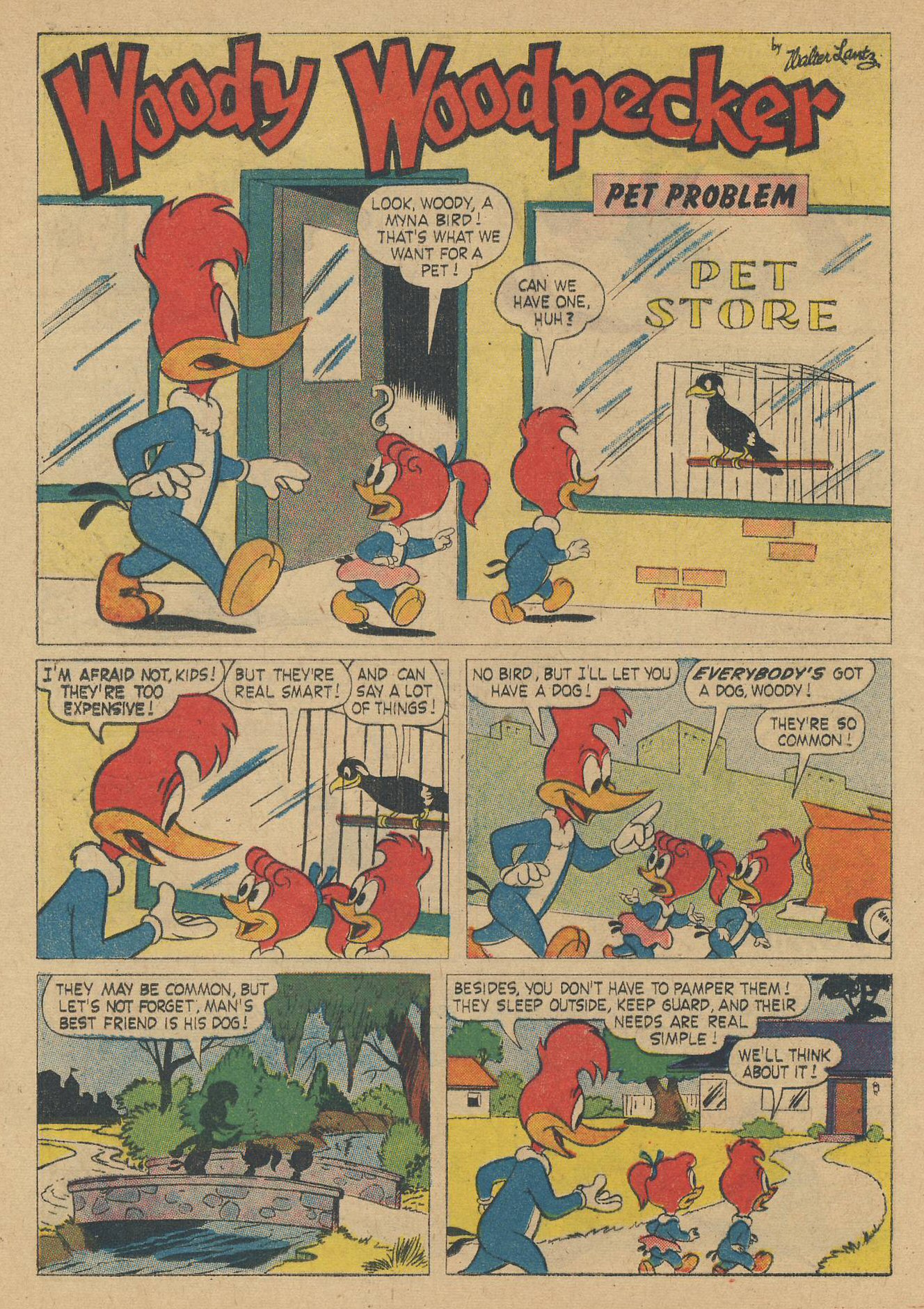 Read online Walter Lantz Woody Woodpecker (1952) comic -  Issue #58 - 24