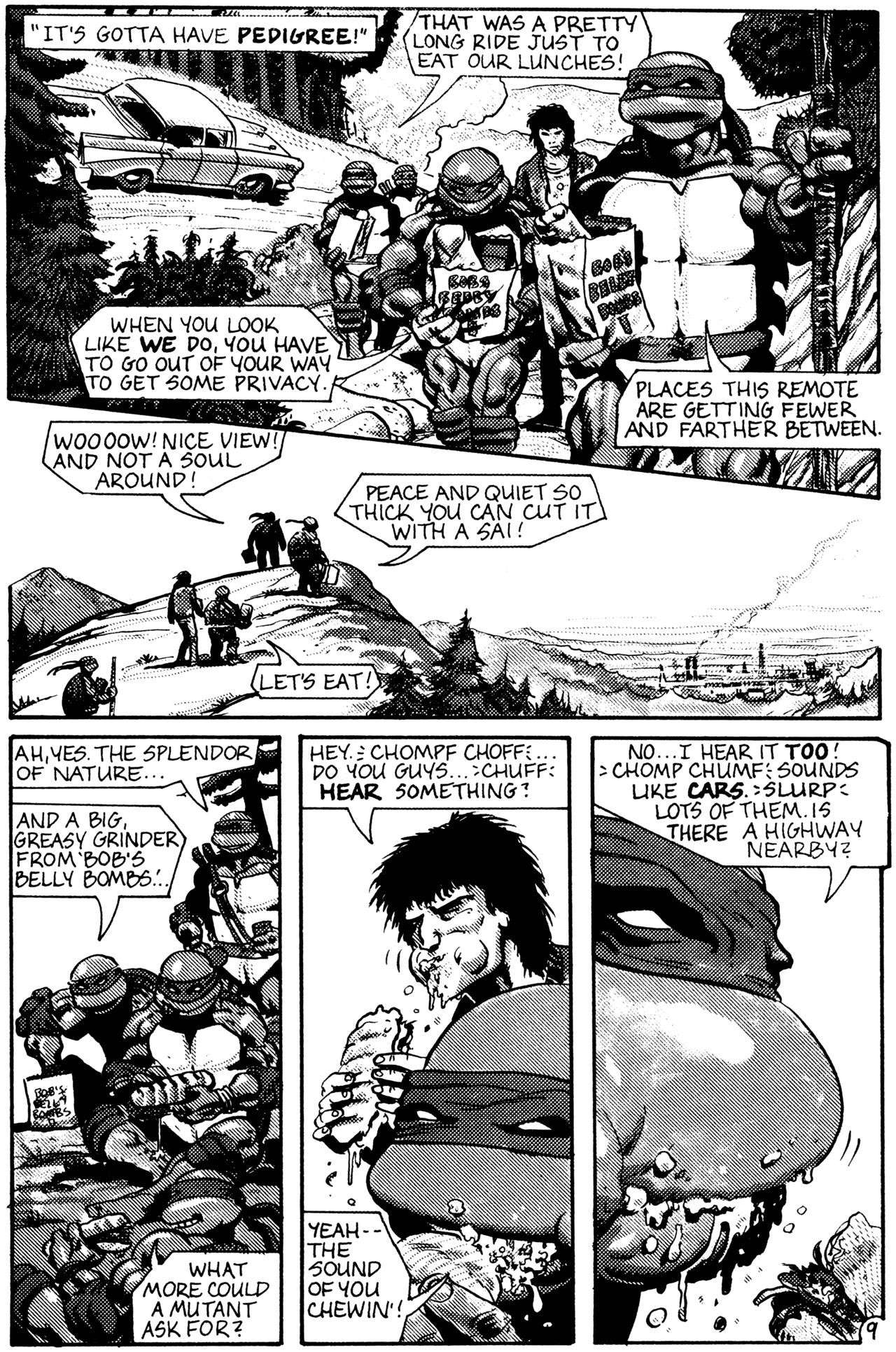 Read online Teenage Mutant Ninja Turtles (1984) comic -  Issue #30 - 10