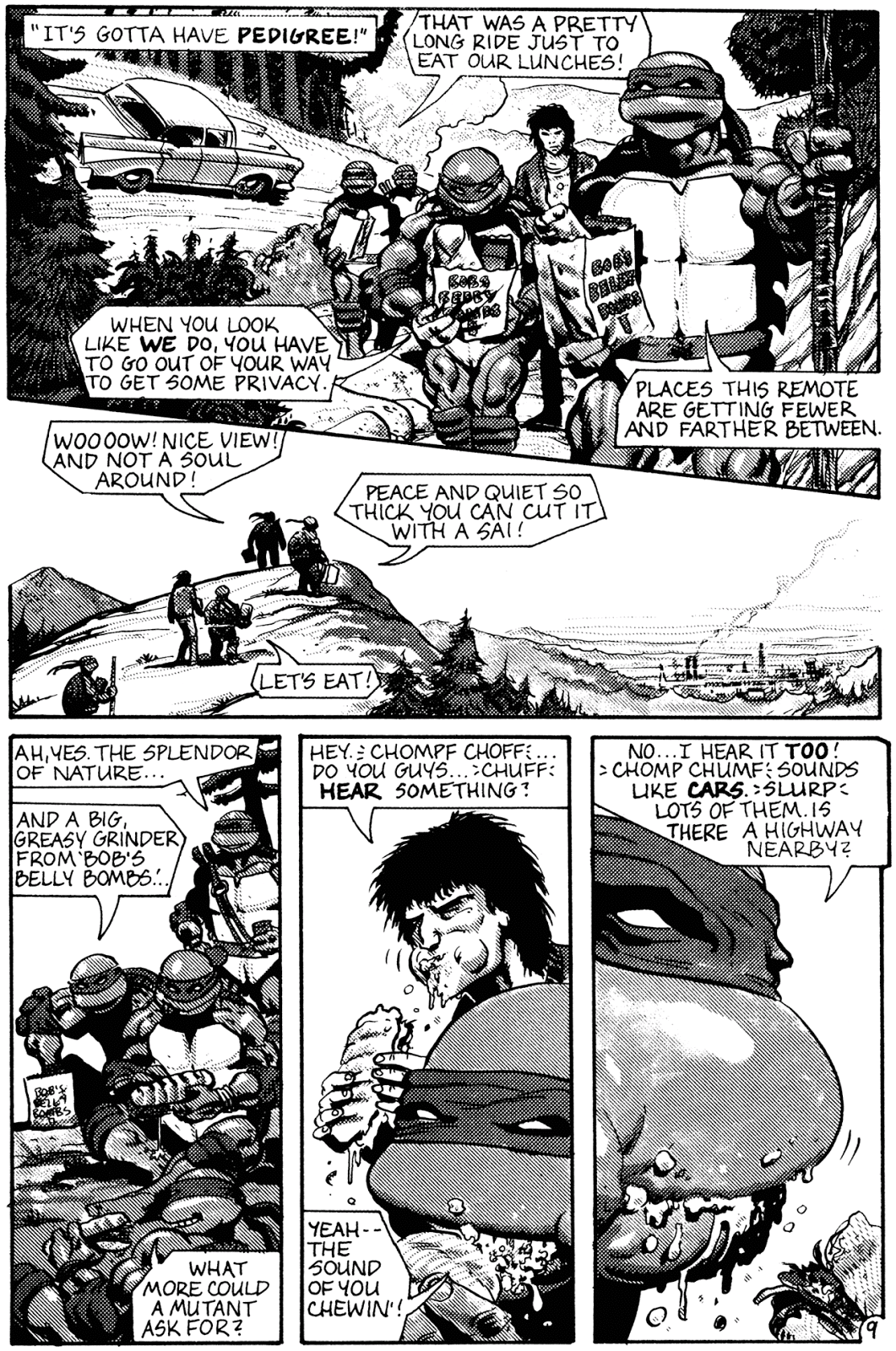 Teenage Mutant Ninja Turtles (1984) Issue #30 #30 - English 10