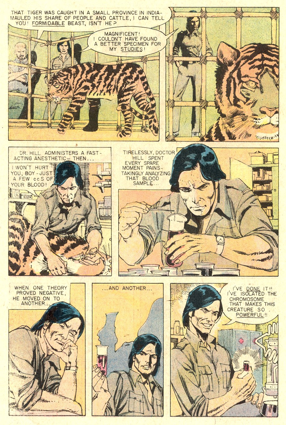 Read online Tiger-Man comic -  Issue #1 - 6