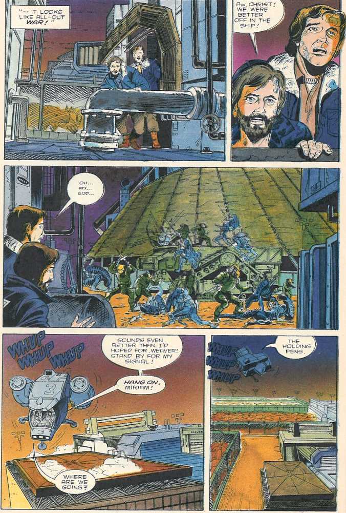 Aliens vs. Predator issue 3 - Page 24
