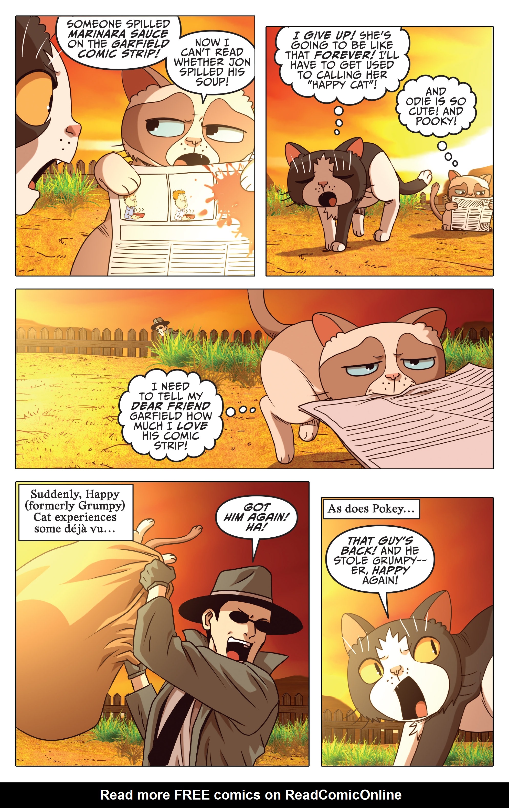 Read online Grumpy Cat/Garfield comic -  Issue #3 - 14