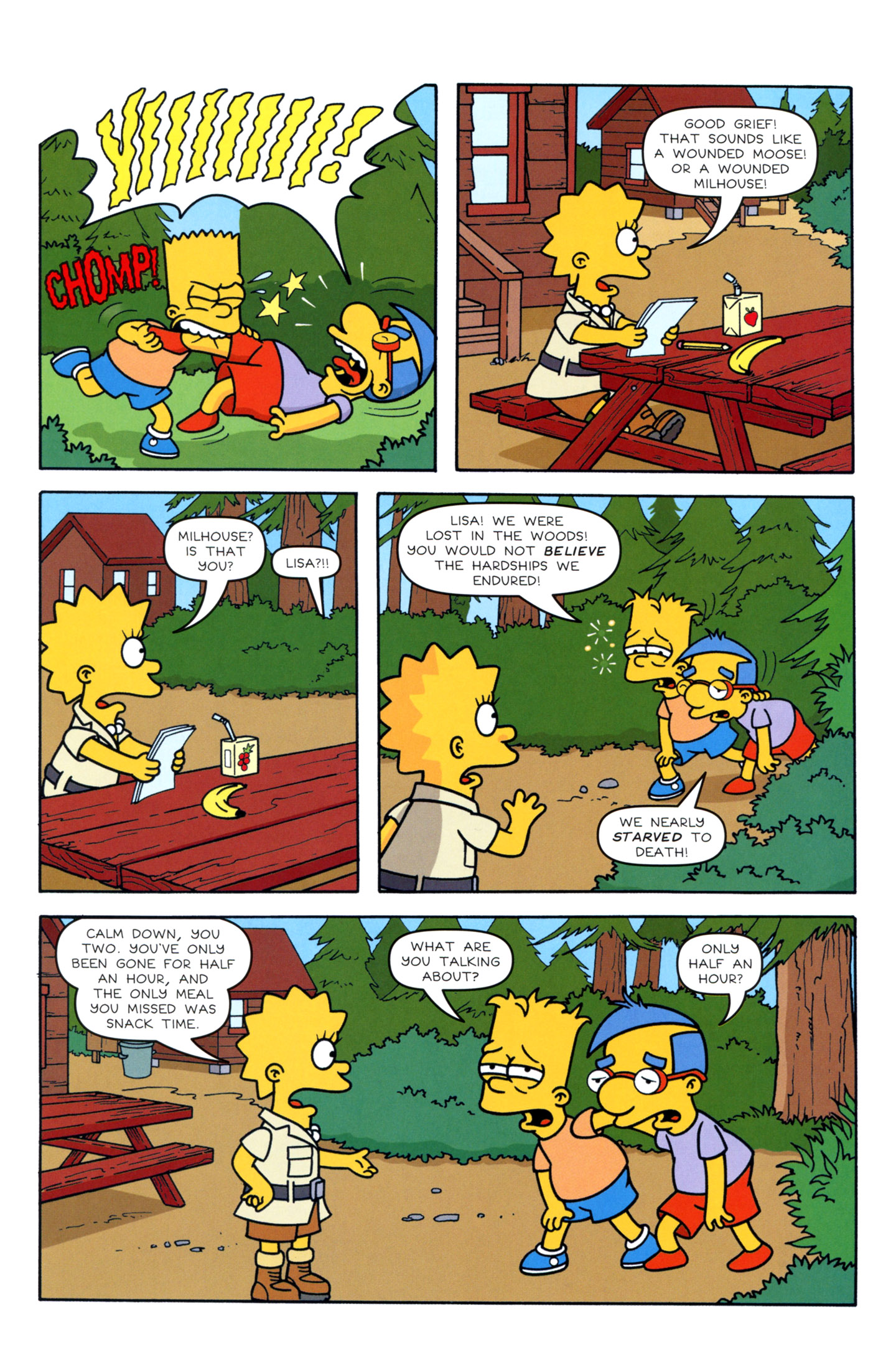 Read online Bart Simpson comic -  Issue #74 - 23