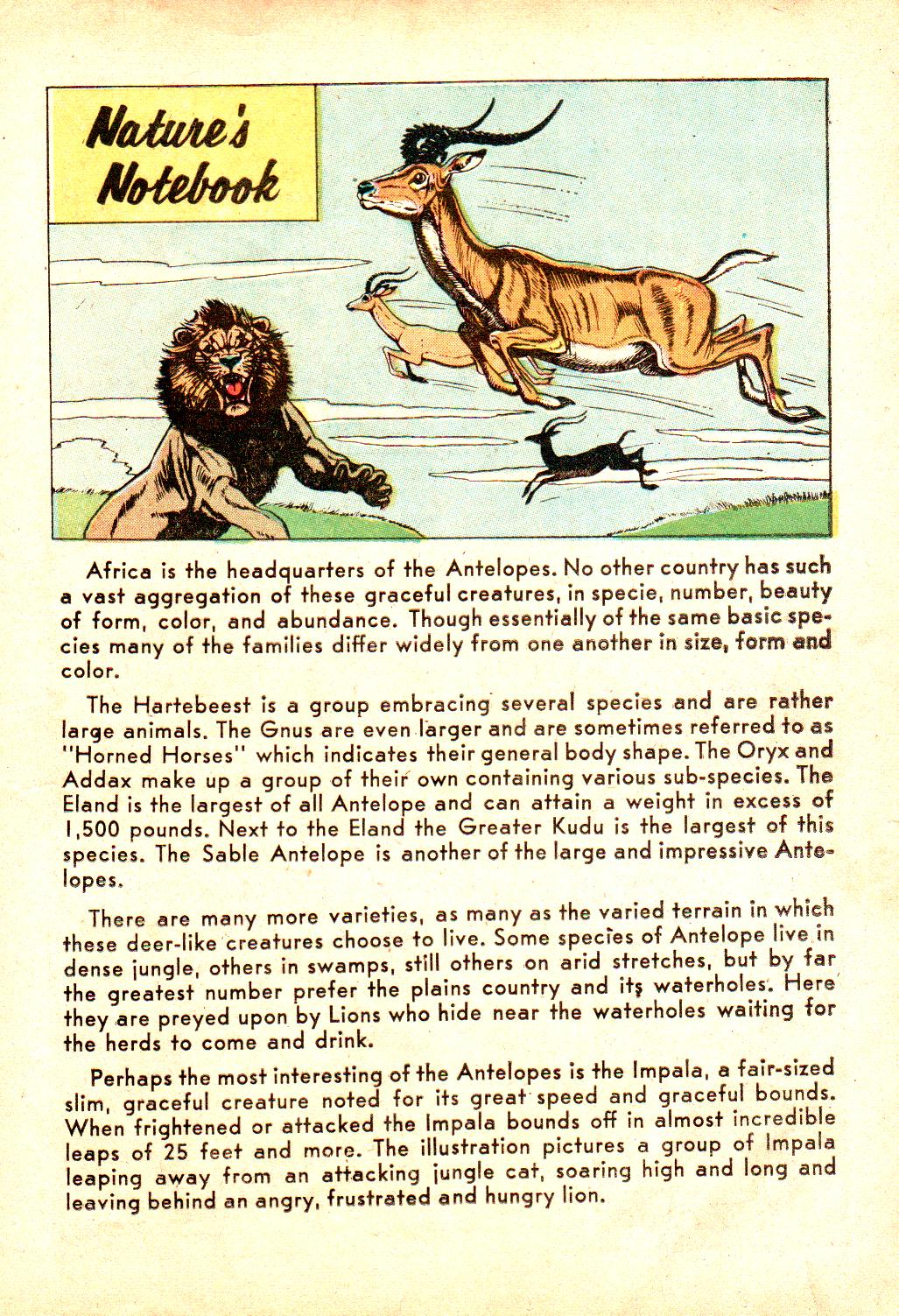 Read online Little Archie In Animal Land comic -  Issue #19 - 11