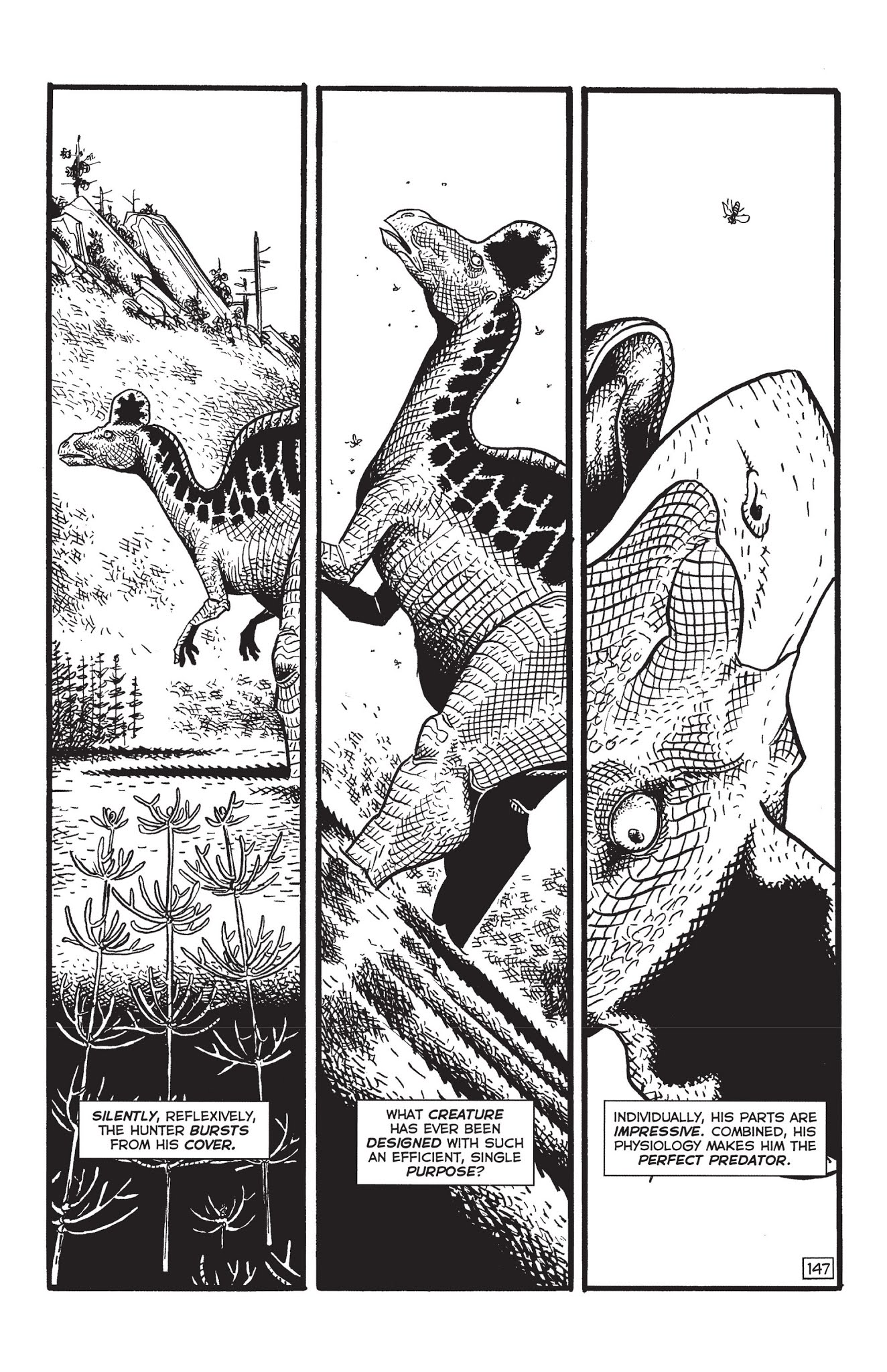 Read online Paleo: Tales of the late Cretaceous comic -  Issue # TPB (Part 2) - 62