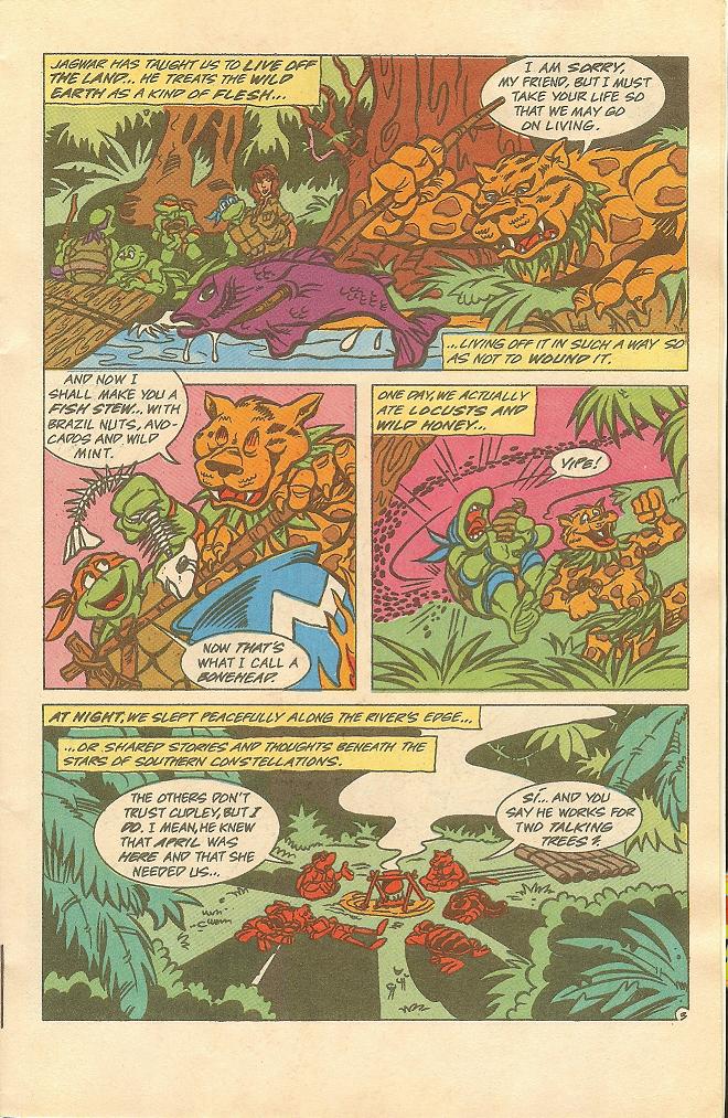 Teenage Mutant Ninja Turtles Adventures (1989) issue 15 - Page 4