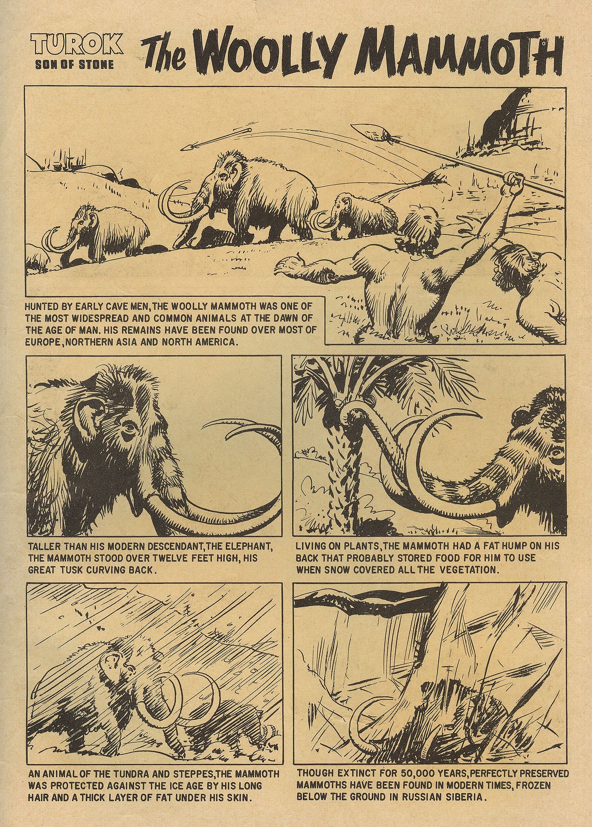 Read online Turok, Son of Stone comic -  Issue #22 - 35