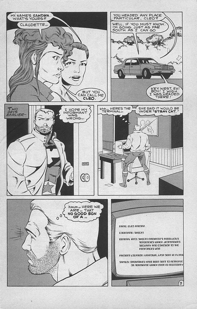 Read online She-Cat comic -  Issue #1 - 5