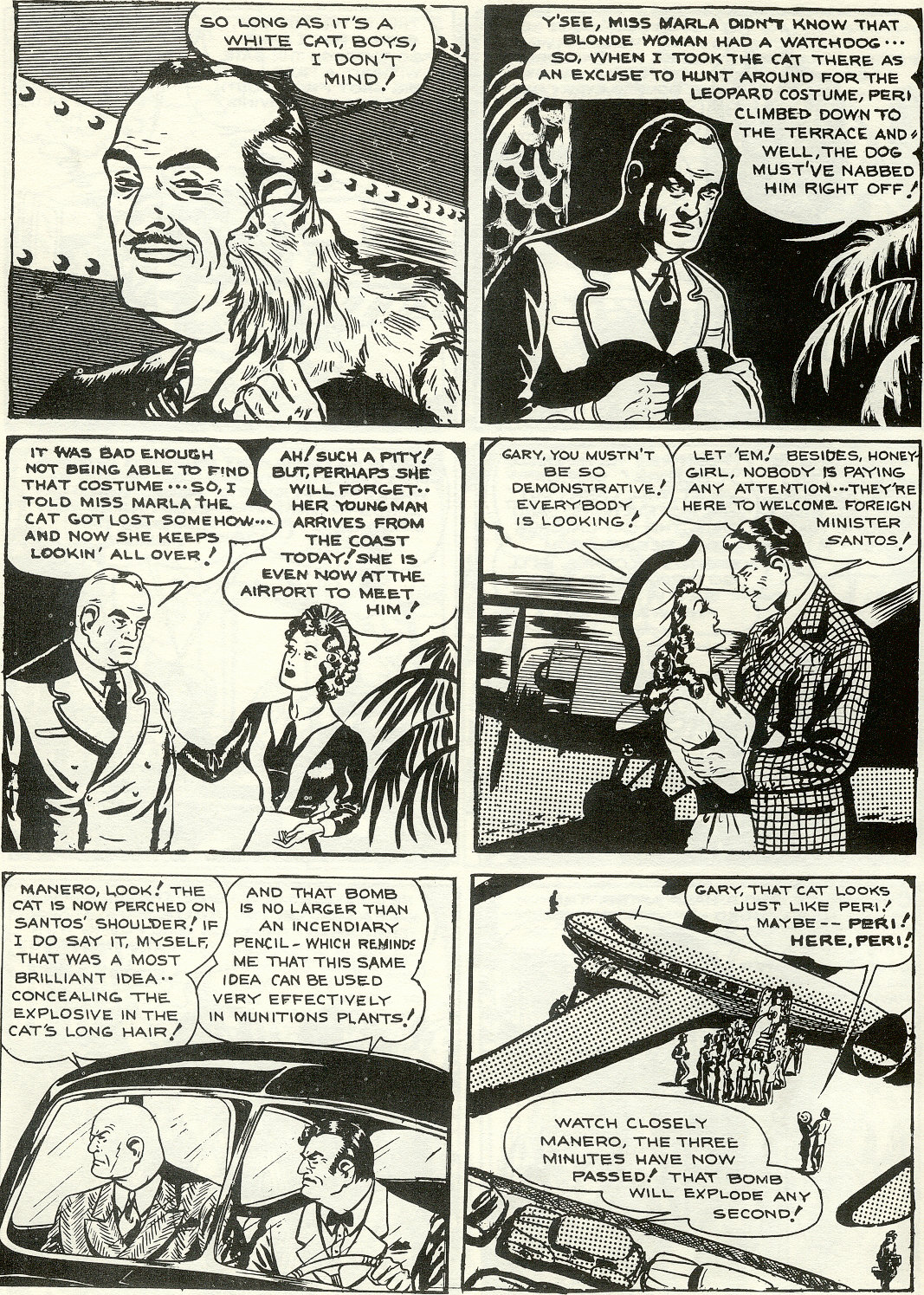 Miss Fury (1979) issue Full - Page 40
