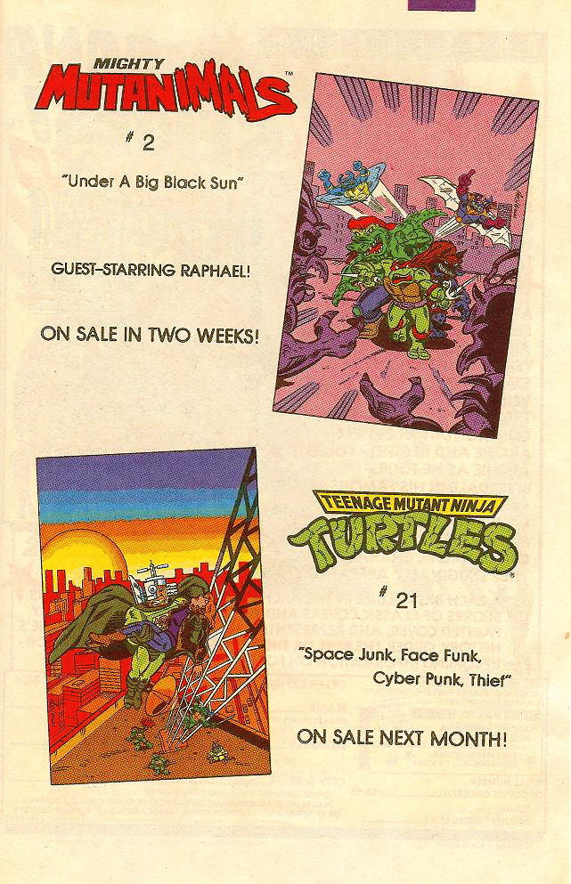 Read online Teenage Mutant Ninja Turtles Adventures (1989) comic -  Issue #20 - 32