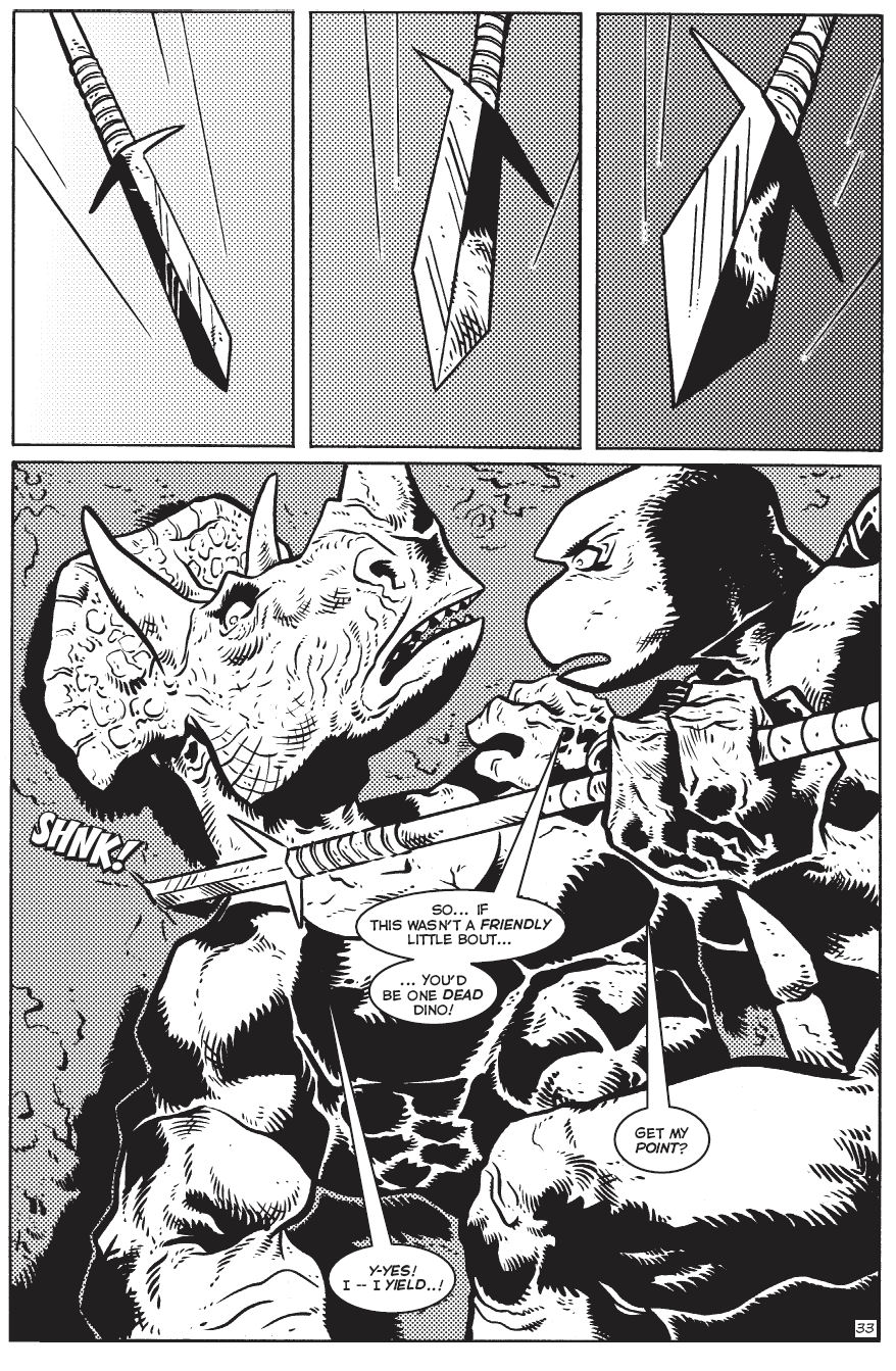 TMNT: Teenage Mutant Ninja Turtles Issue #29 #29 - English 34