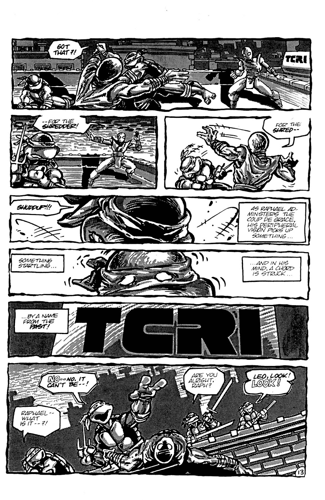 Teenage Mutant Ninja Turtles (1984) Issue #4 #4 - English 14