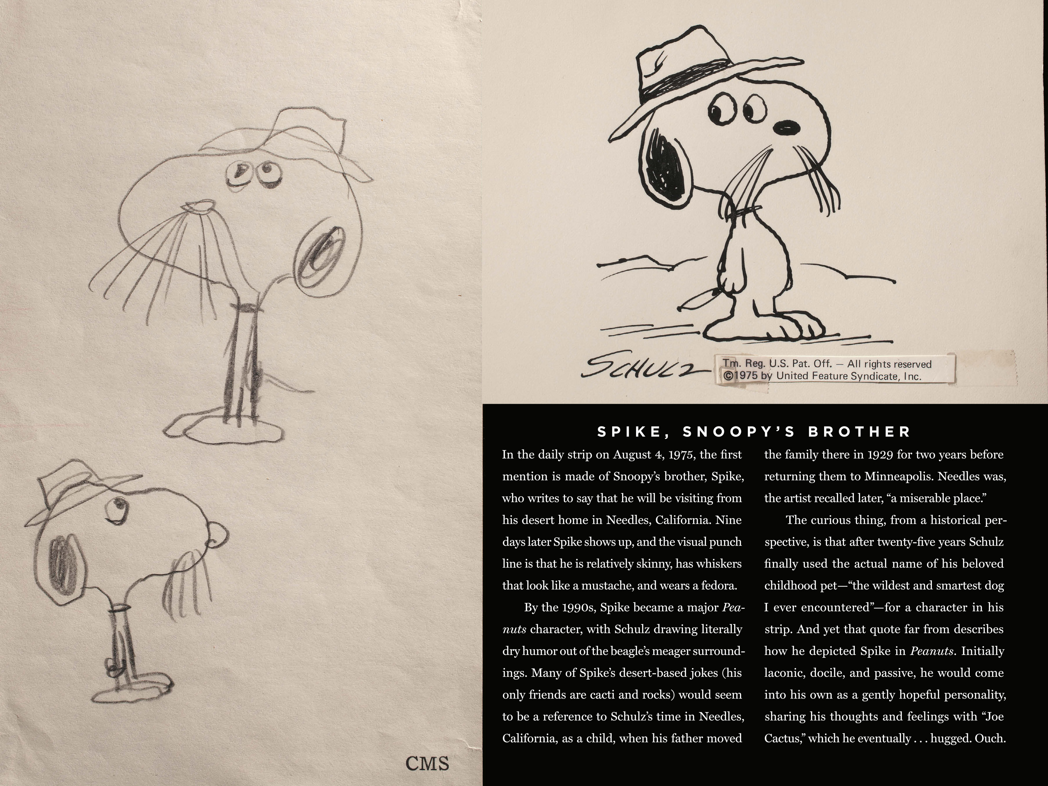 Read online Only What's Necessary: Charles M. Schulz and the Art of Peanuts comic -  Issue # TPB (Part 3) - 27