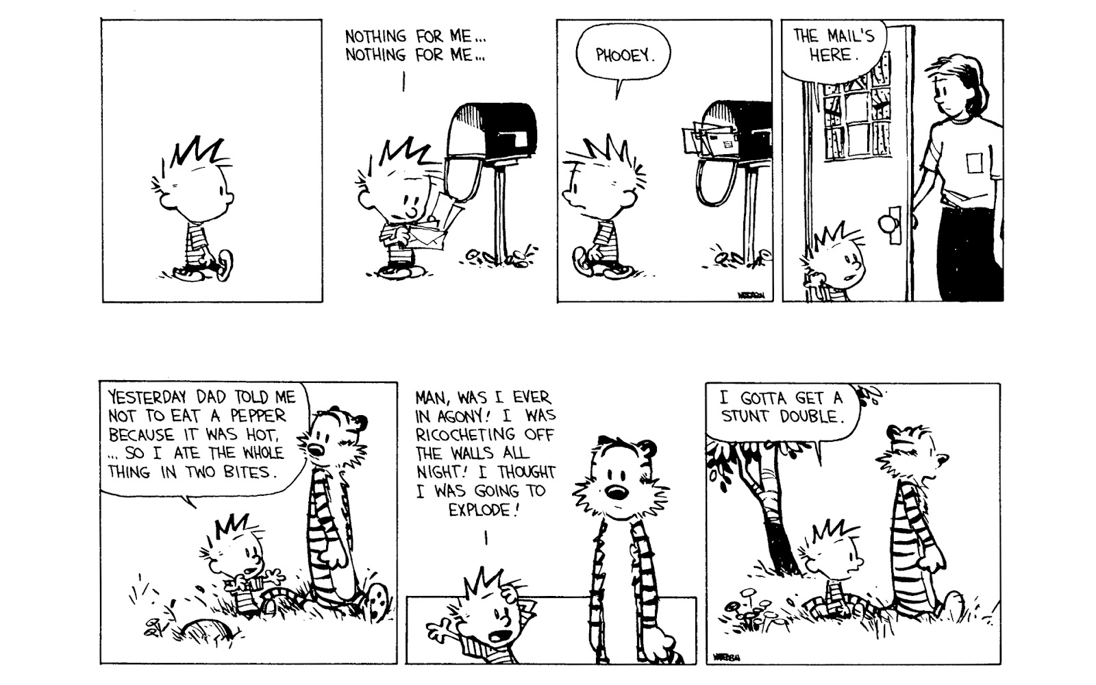Calvin and Hobbes issue 9 - Page 172