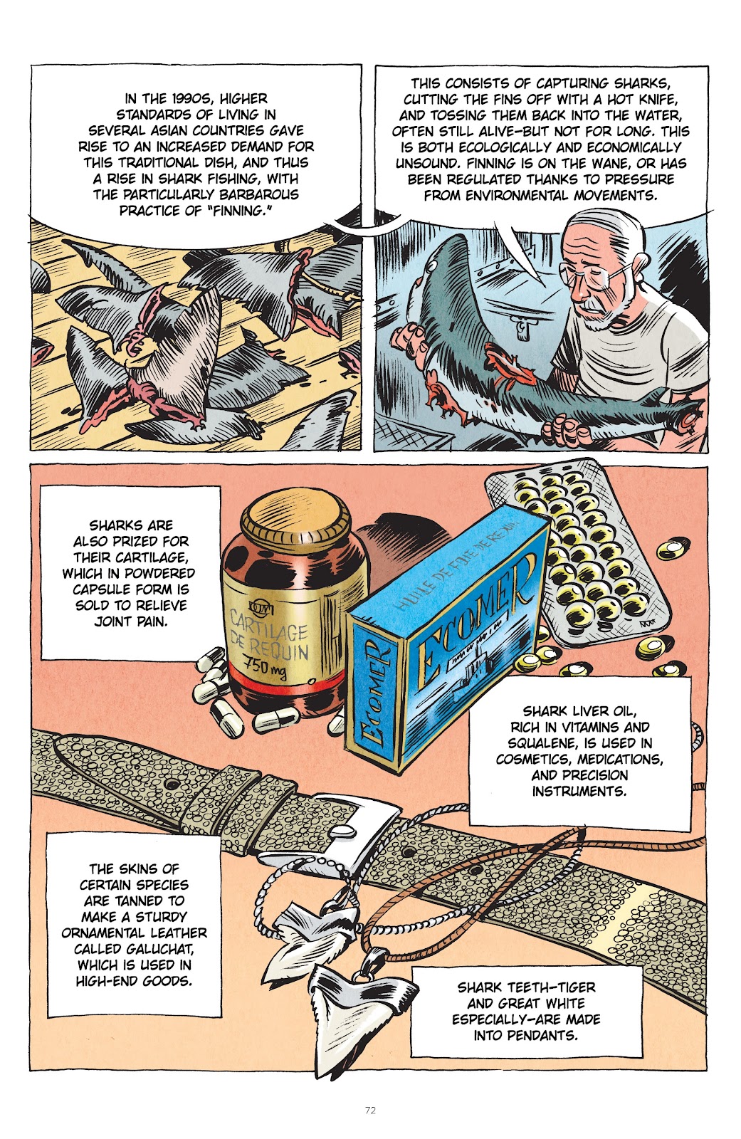 Little Book of Knowledge: Sharks issue TPB - Page 72