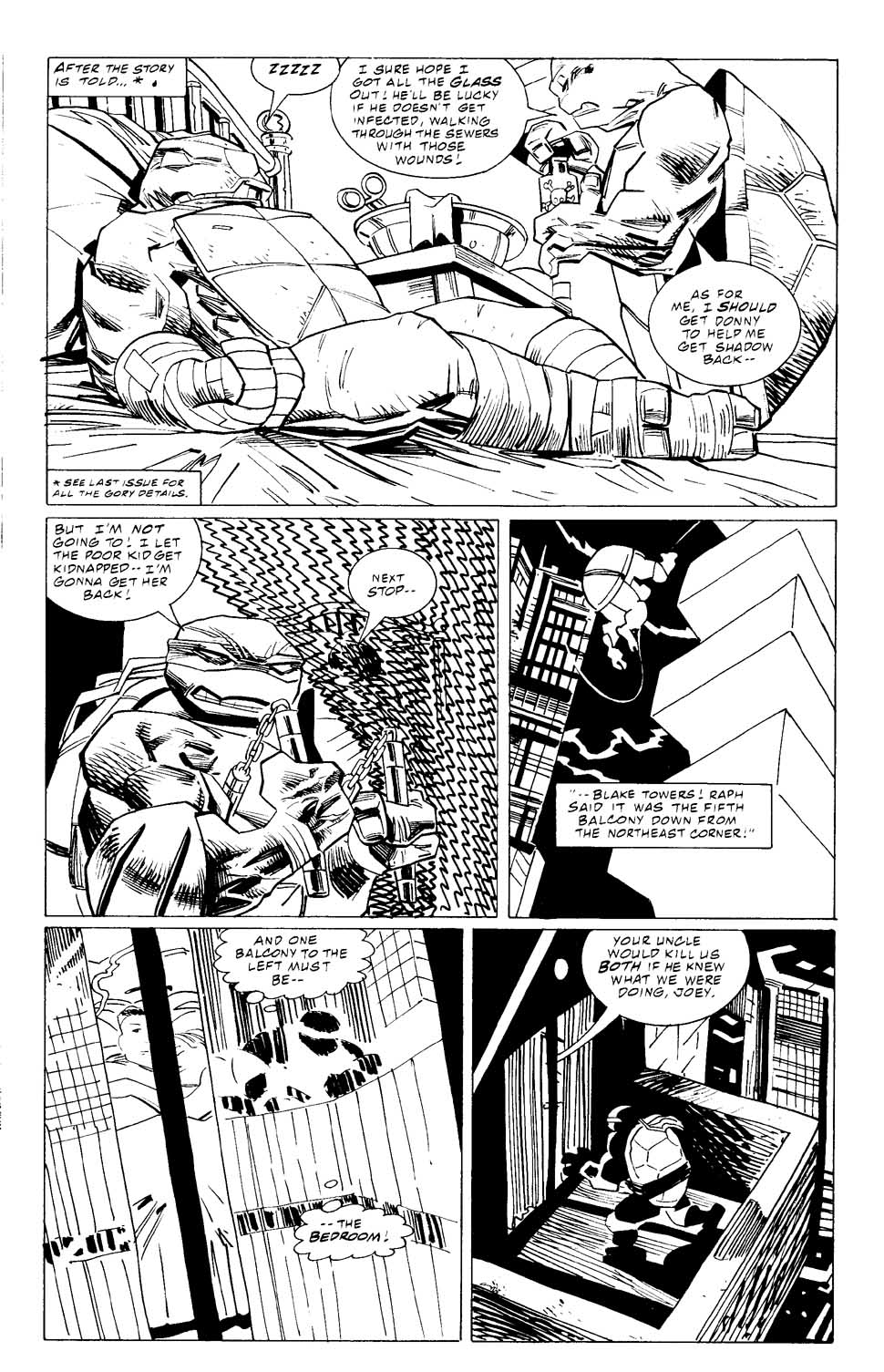 Teenage Mutant Ninja Turtles (1996) Issue #8 #8 - English 14