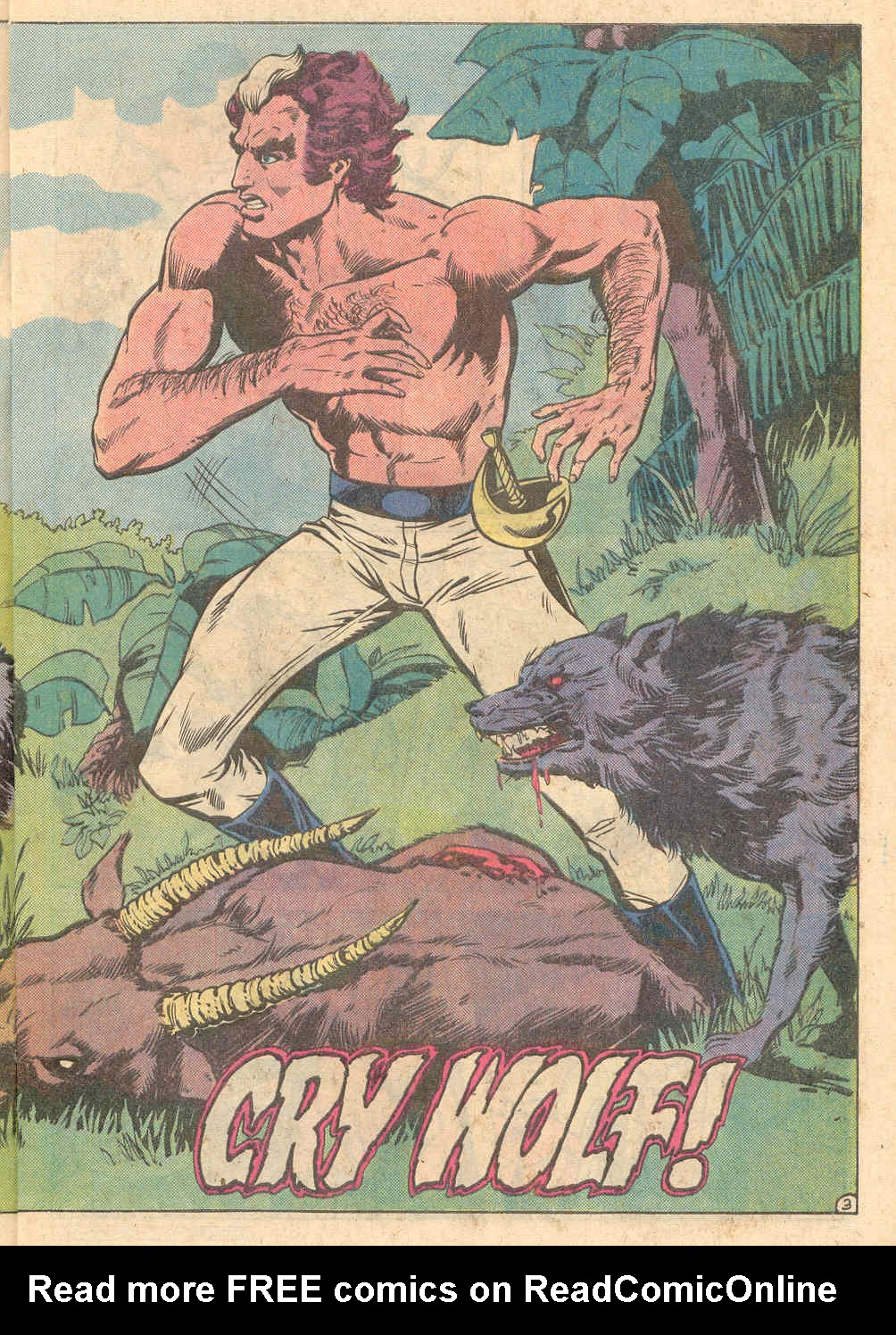 Read online Warlord (1976) comic -  Issue #62 - 4