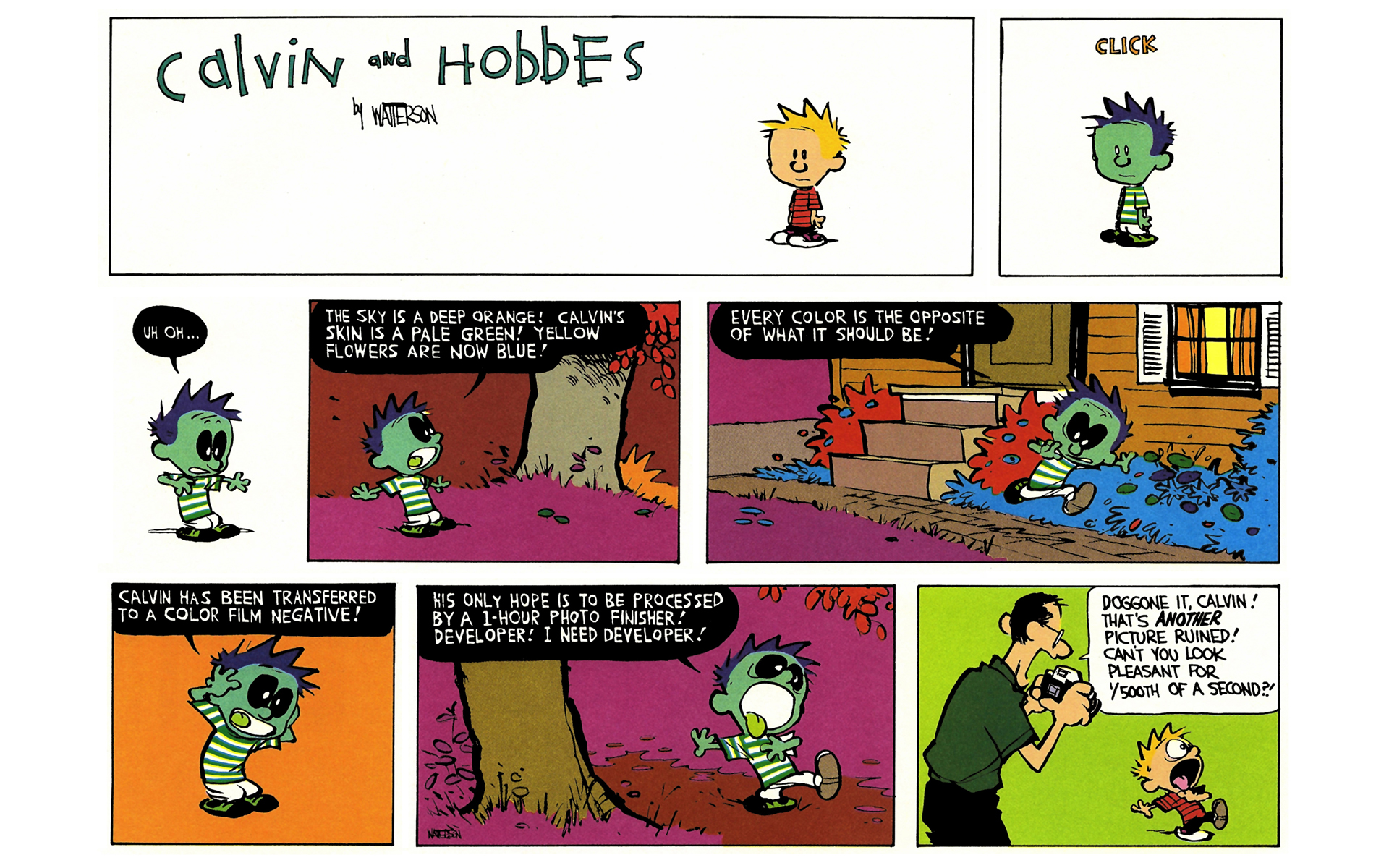 Read online Calvin and Hobbes comic -  Issue #5 - 132