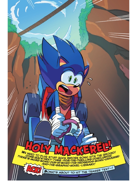 Read online Sonic Super Digest comic -  Issue #16 - 43