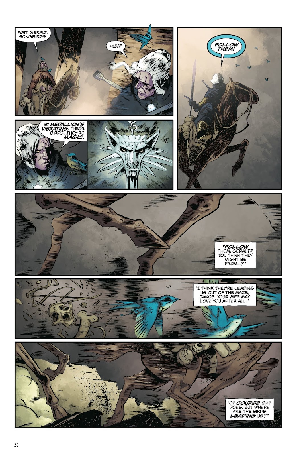 The Witcher: Library Edition issue TPB (Part 1) - Page 27