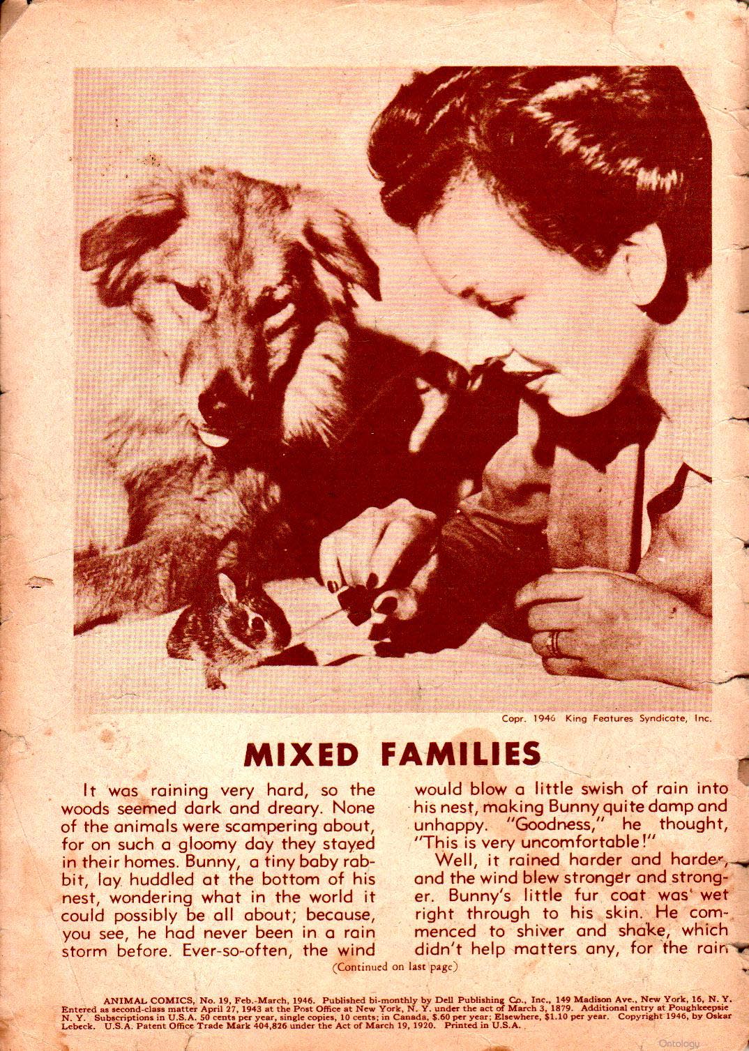 Read online Animal Comics comic -  Issue #19 - 2