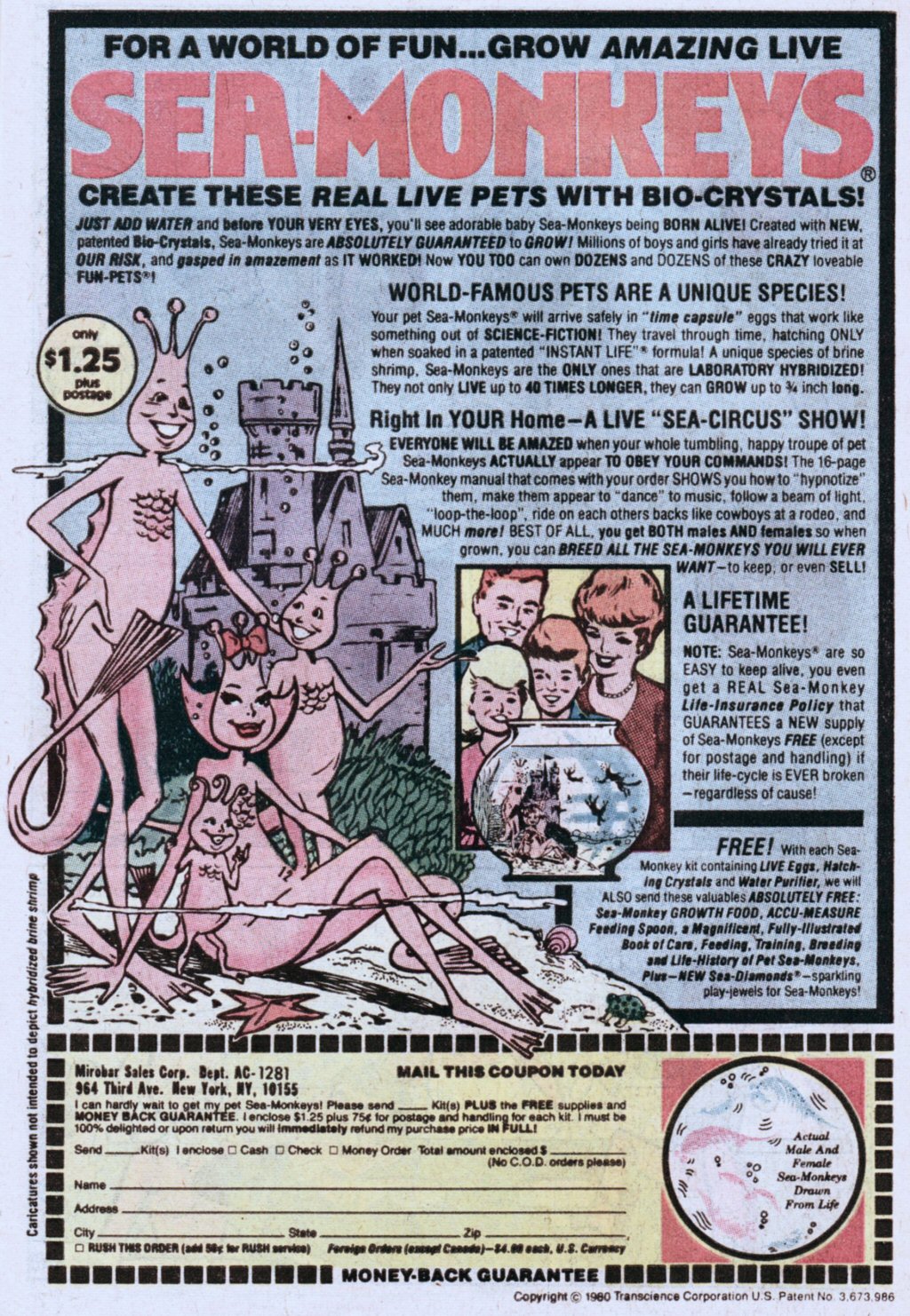 Read online Archie (1960) comic -  Issue #311 - 34