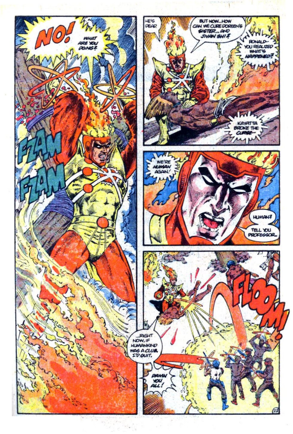 The Fury of Firestorm Issue #13 #17 - English 23