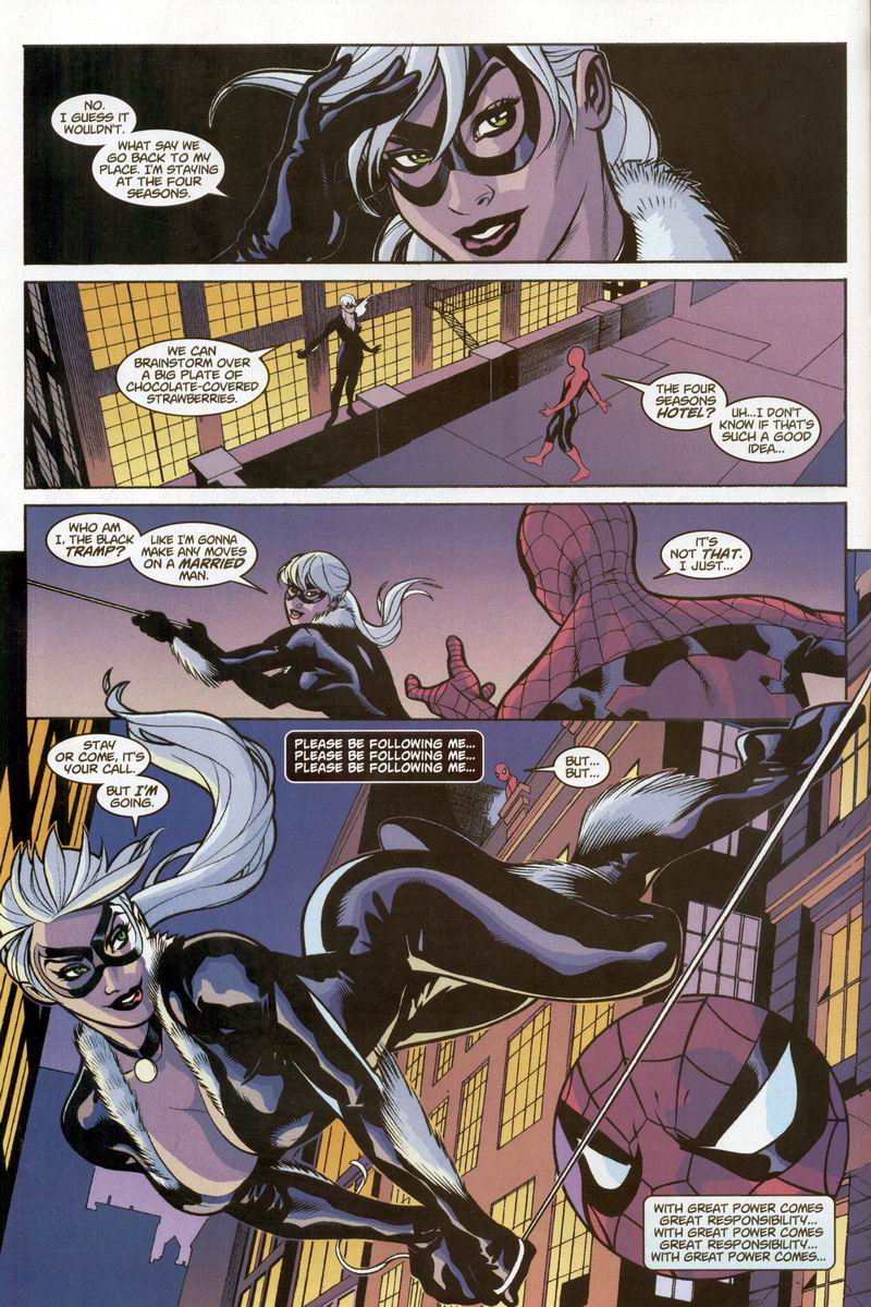 Read online Spider-Man/Black Cat: The Evil That Men Do comic -  Issue #2 - 10