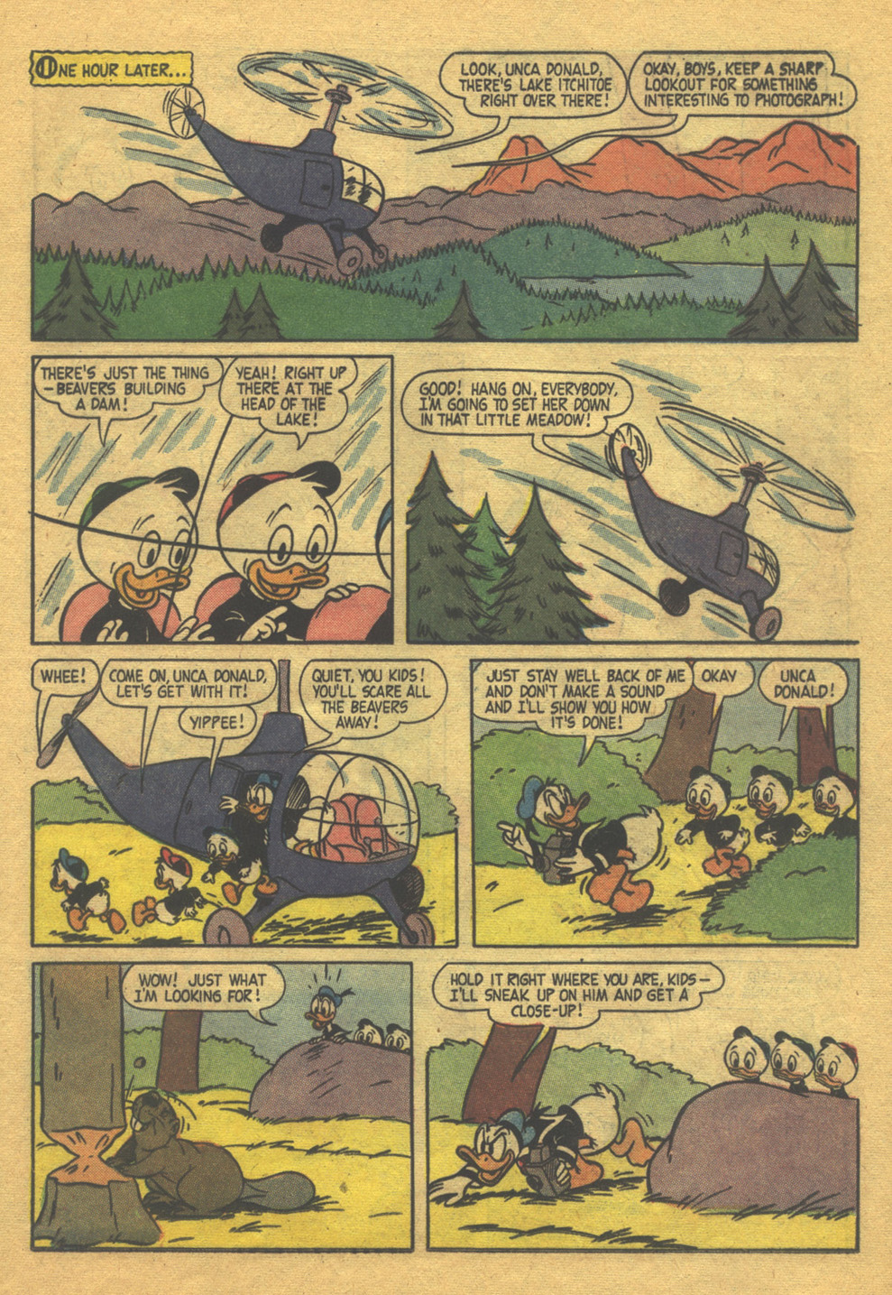 Read online Walt Disney's Donald Duck (1952) comic -  Issue #61 - 25
