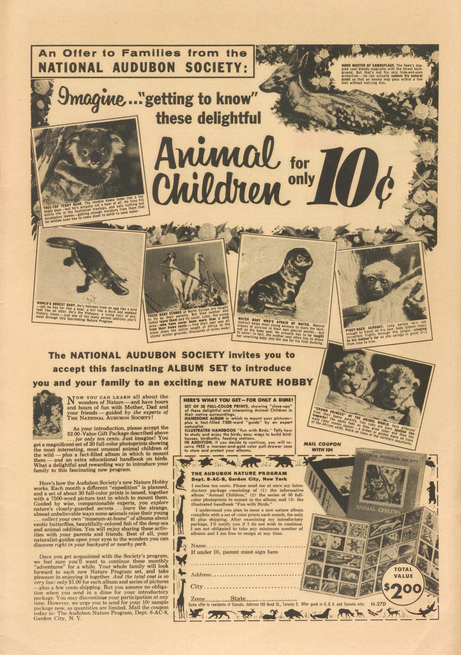 Read online Katy Keene (1949) comic -  Issue #42 - 34