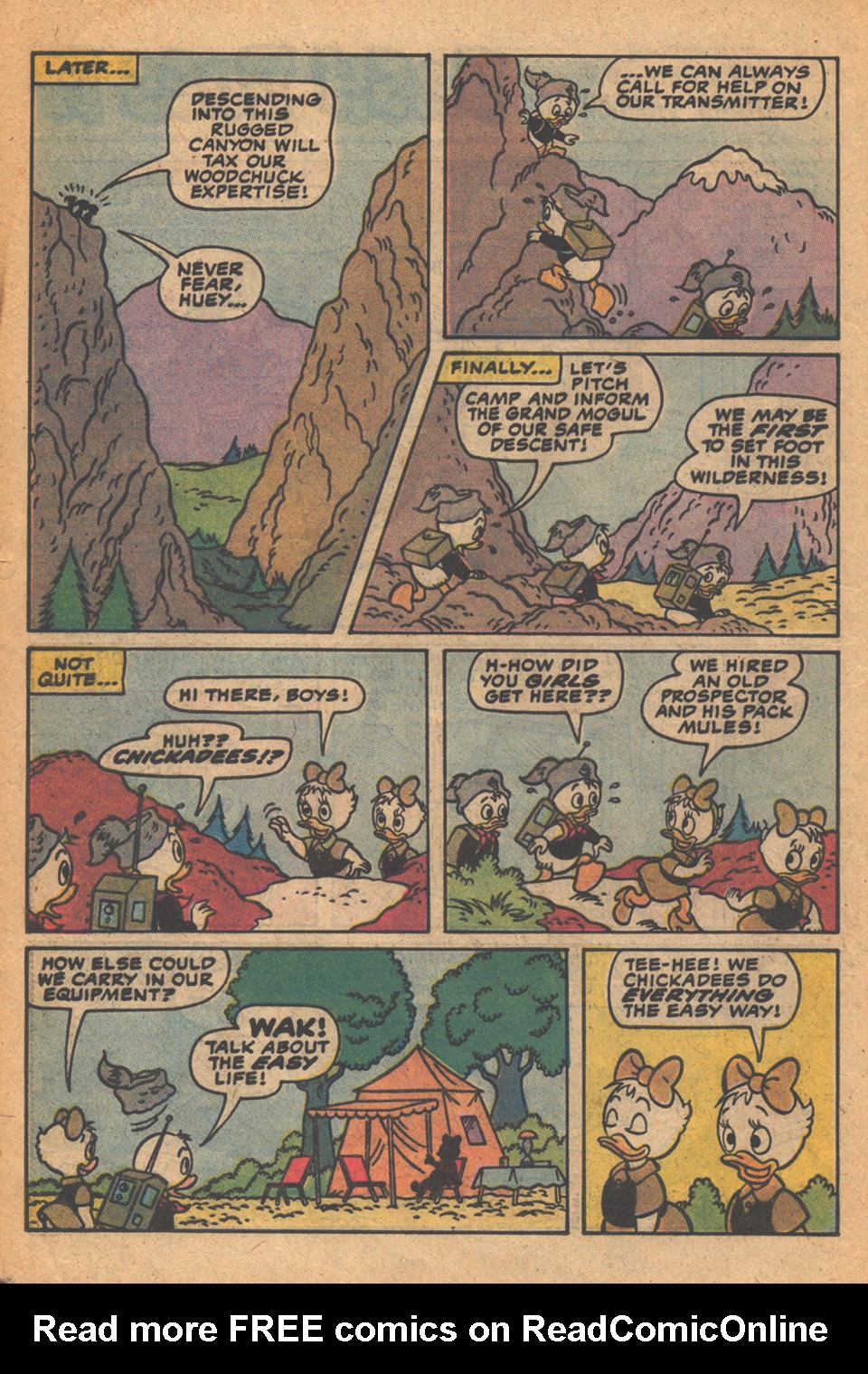 Read online Huey, Dewey, and Louie Junior Woodchucks comic -  Issue #77 - 20