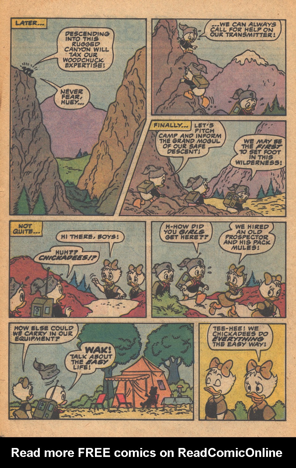 Huey, Dewey, and Louie Junior Woodchucks issue 77 - Page 20