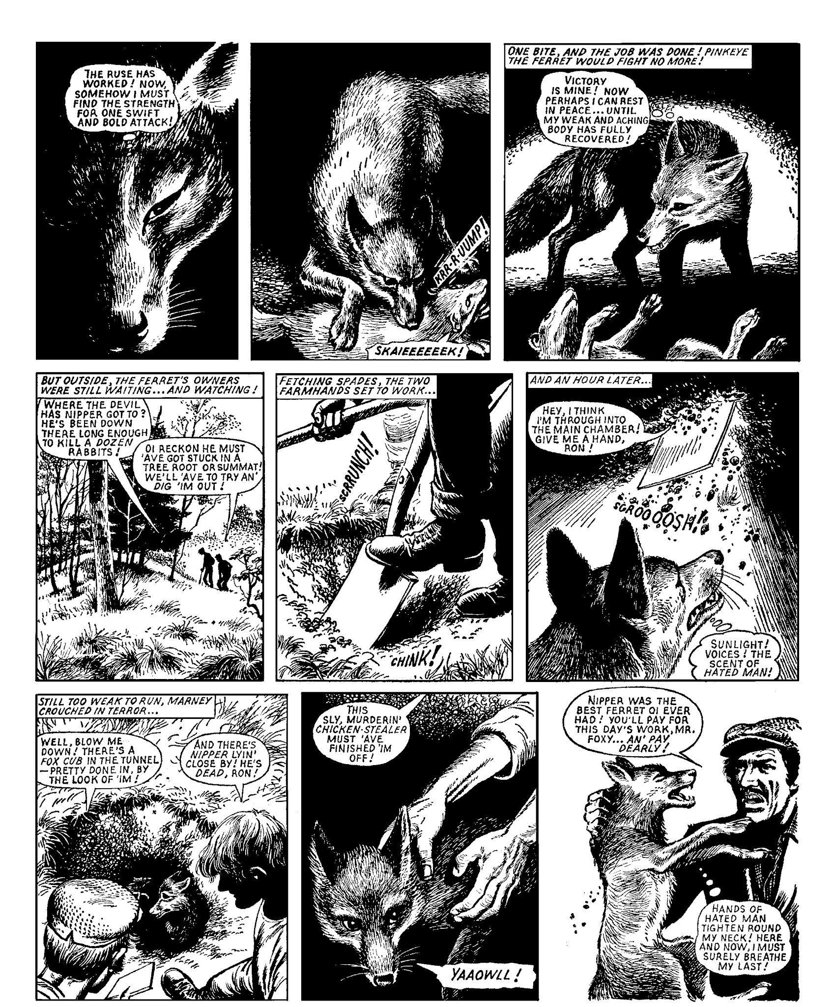 Read online Marney the Fox comic -  Issue # TPB (Part 2) - 31