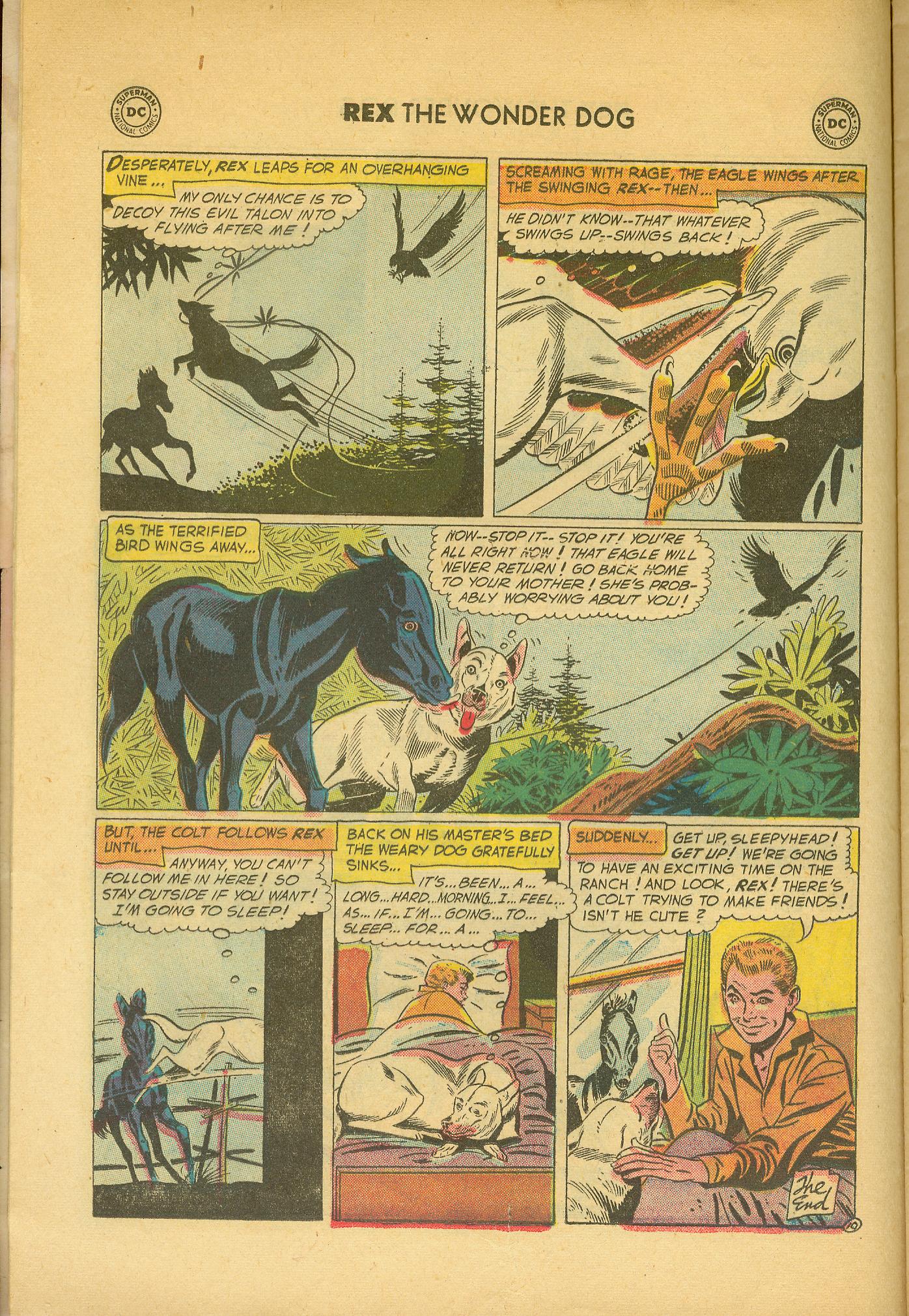 Read online The Adventures of Rex the Wonder Dog comic -  Issue #33 - 12