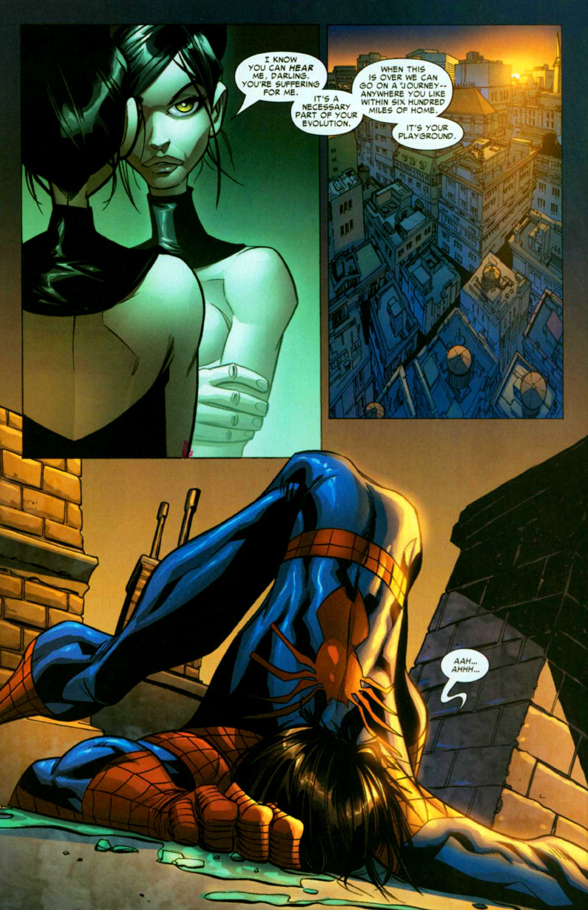 The Spectacular SpiderMan (2003) 18 Read The