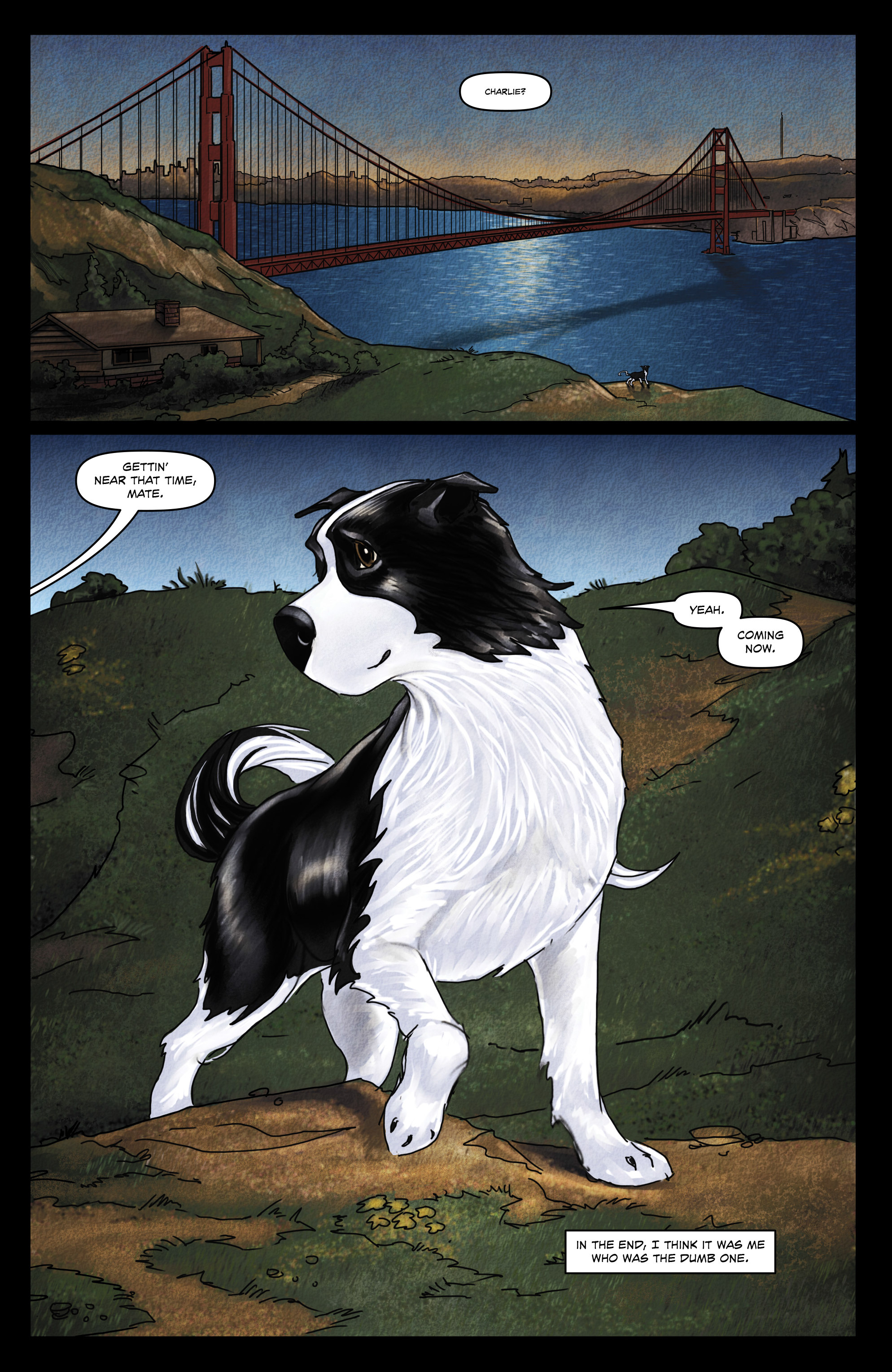 Read online Rover Red Charlie comic -  Issue #6 - 30