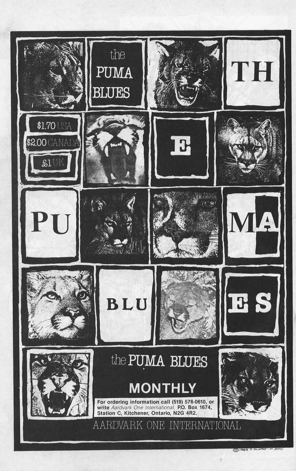 Read online Teenage Mutant Ninja Turtles (1984) comic -  Issue #14 - 48