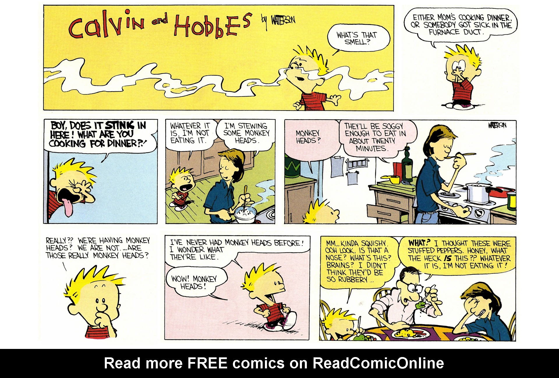 Read online Calvin and Hobbes comic -  Issue #1 - 117