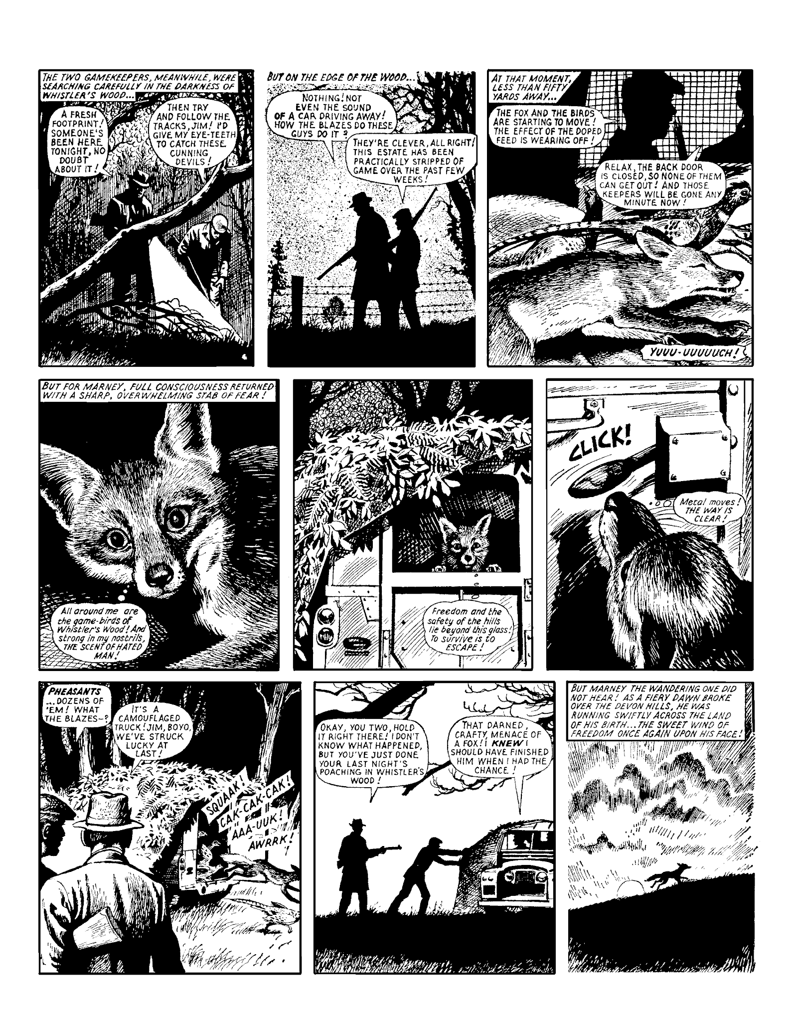 Read online Marney the Fox comic -  Issue # TPB (Part 2) - 61