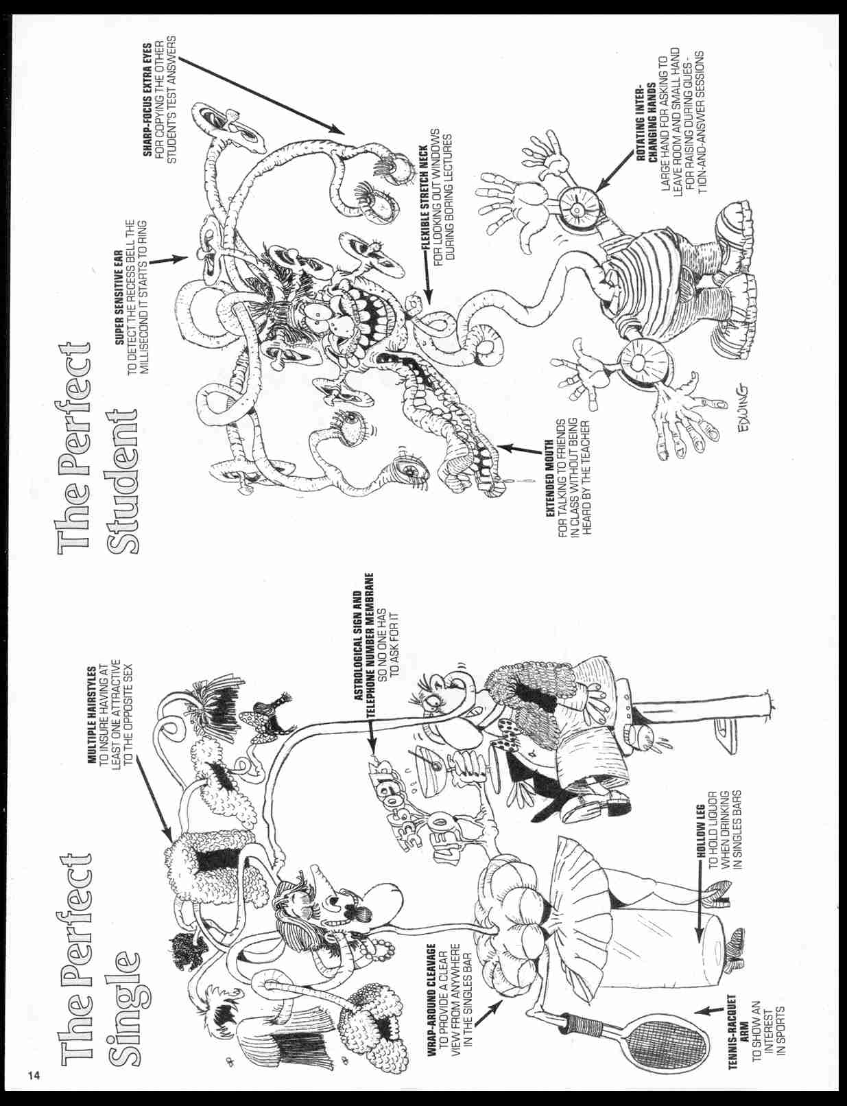 Read online MAD comic -  Issue #275 - 16